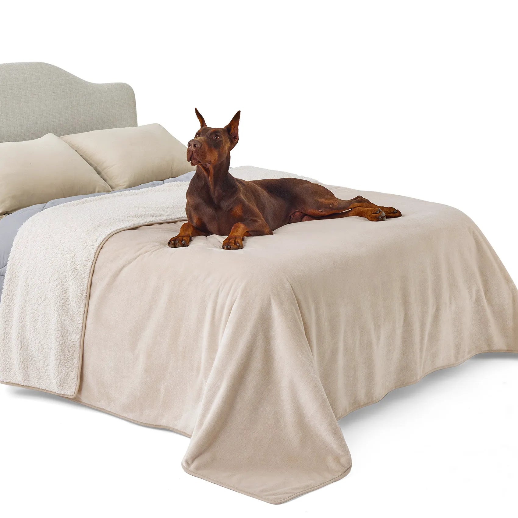 Reversible Sherpa & Microfiber Fleece Dog Blanket