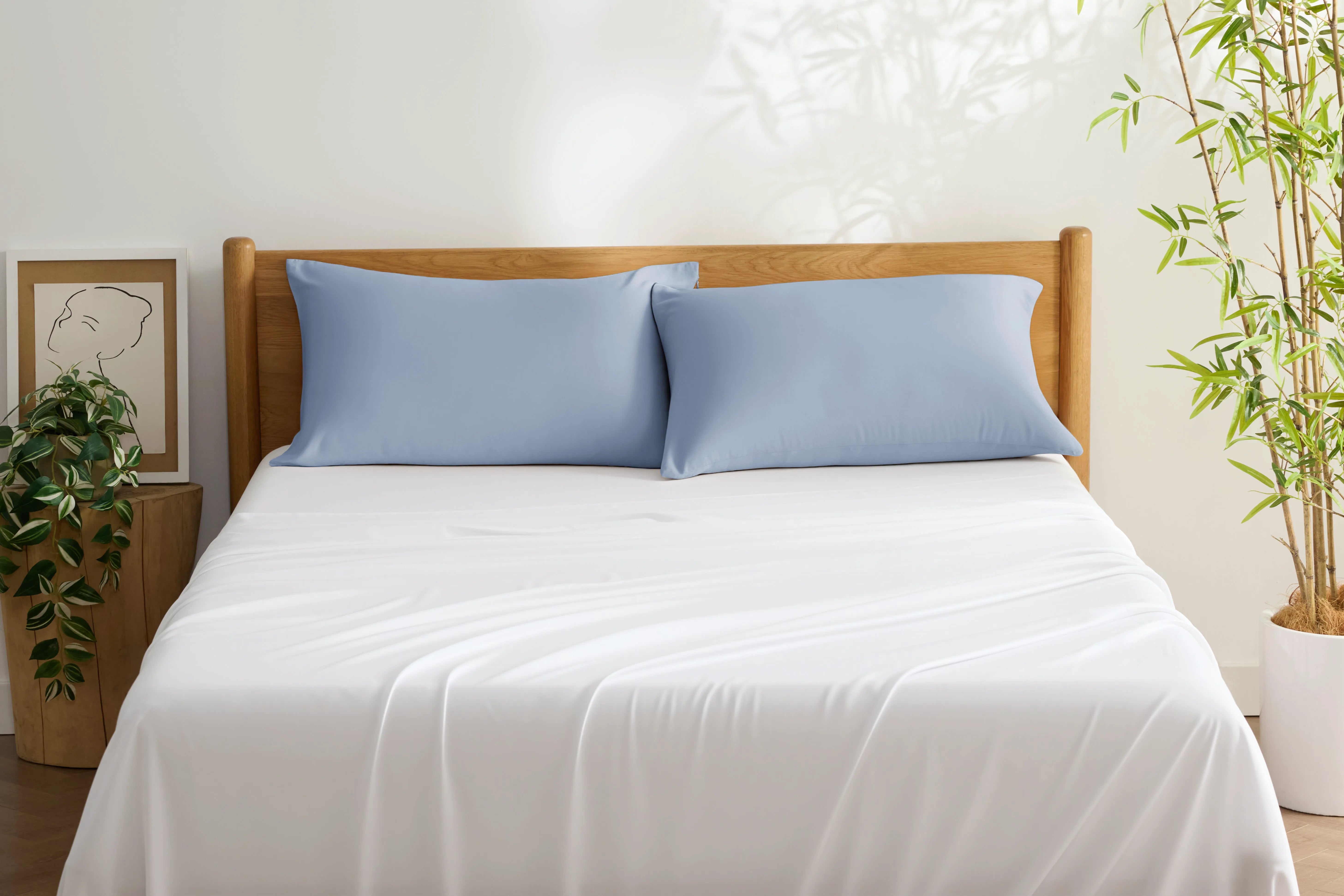 Bamboo Rayon Pillowcases