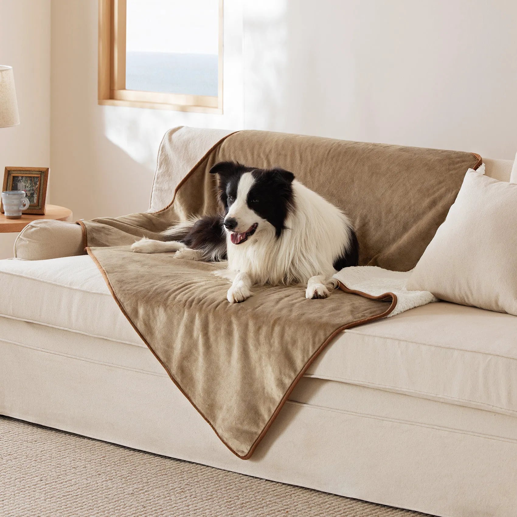 Reversible Sherpa & Microfiber Fleece Dog Blanket