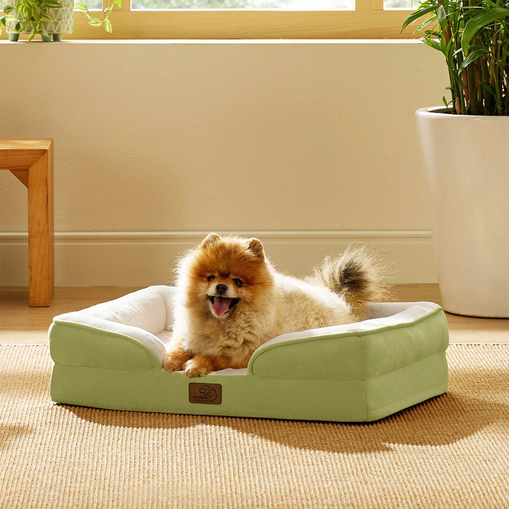 Orthopedic Dog Couch