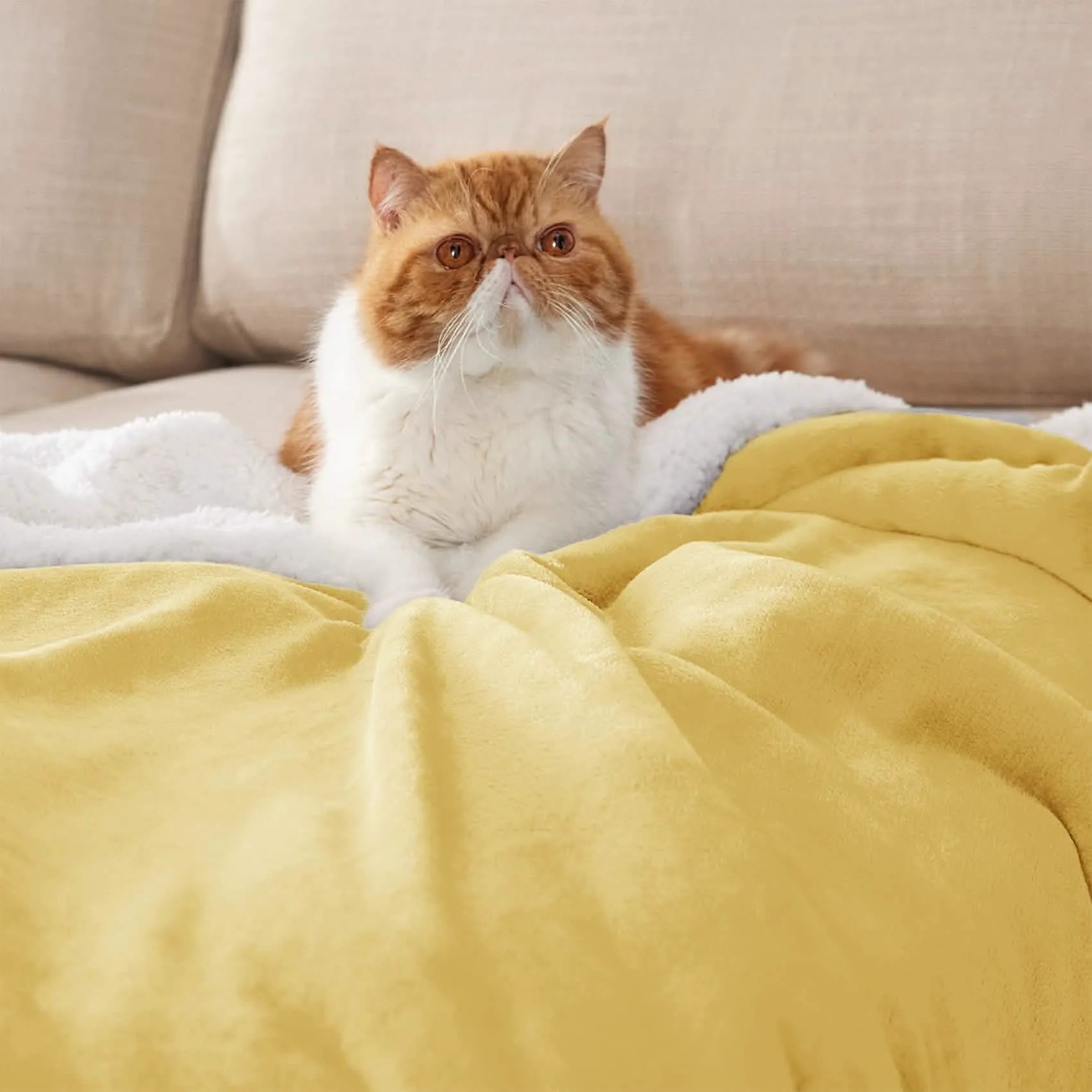 Cozy Sherpa Fleece Throw Blanket