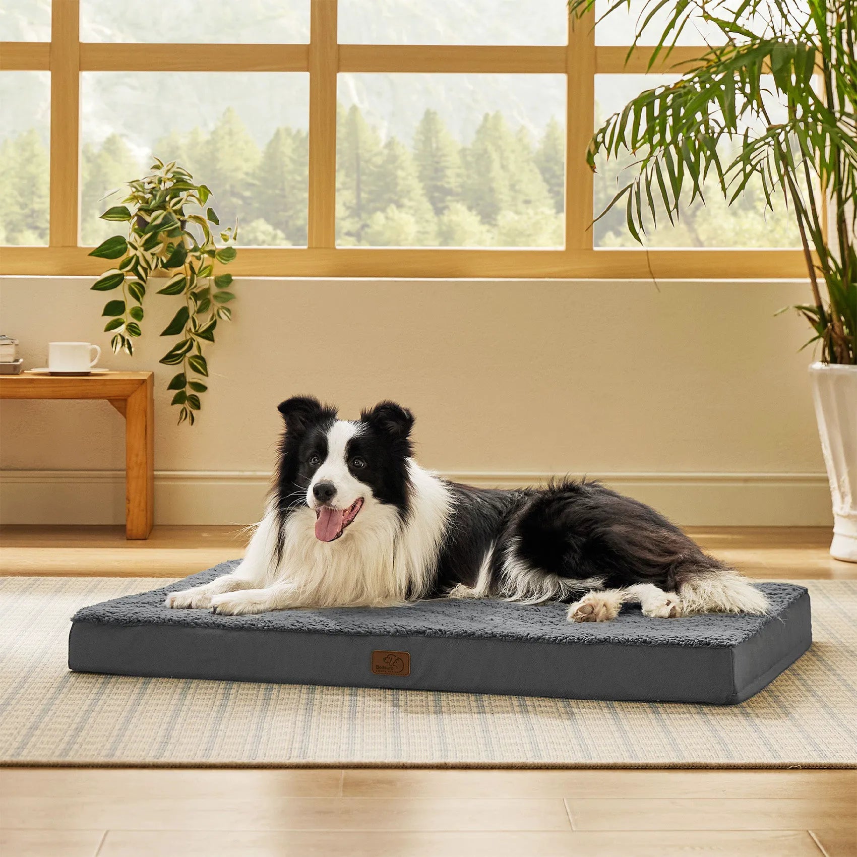 Large Washable Orthopedic Dog Bed