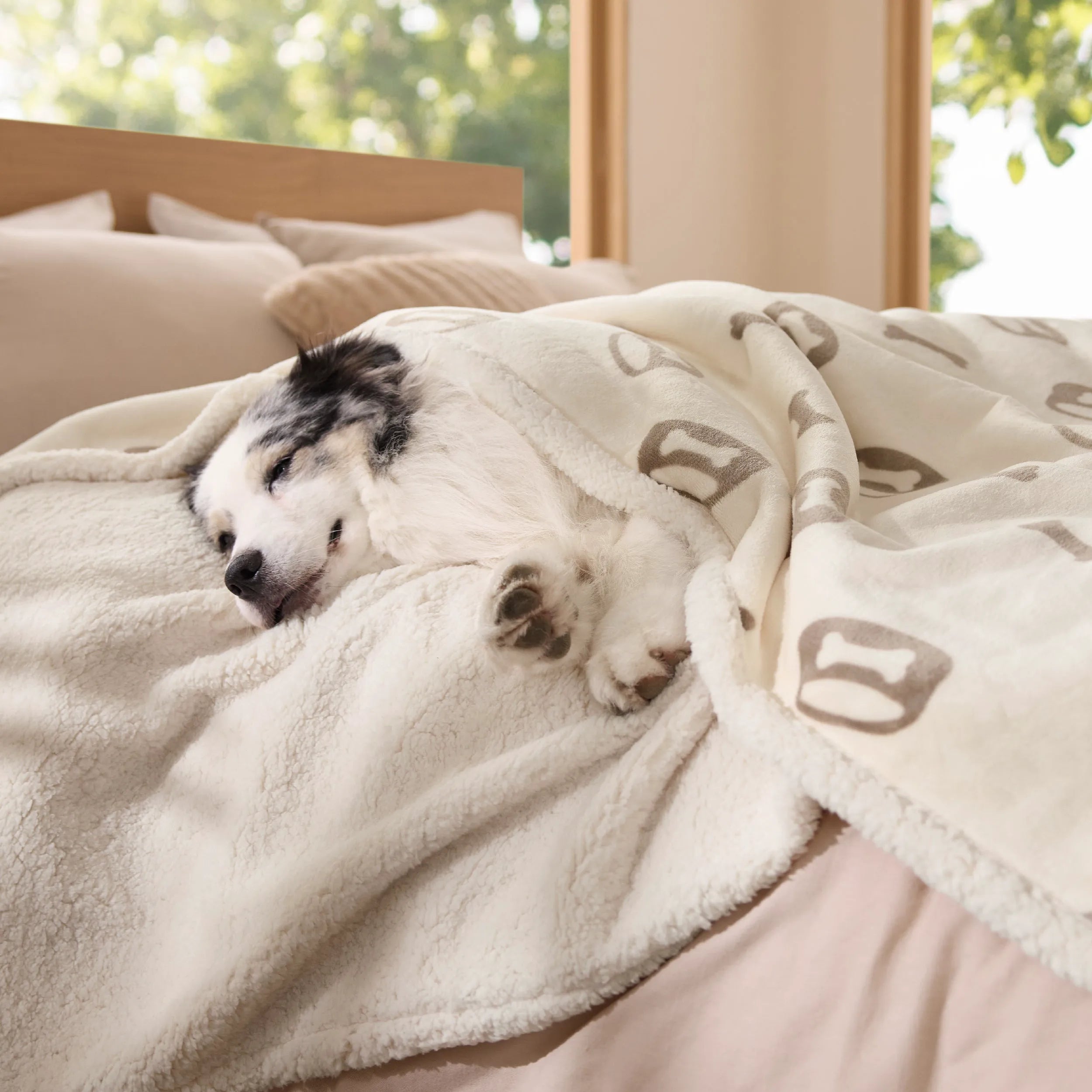 Reversible Waterproof Sherpa Blanket