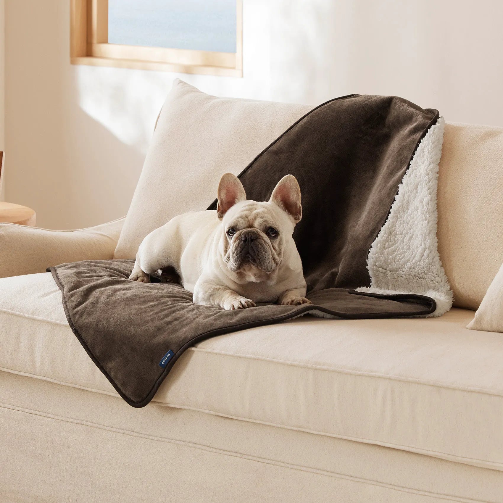 Reversible Sherpa & Microfiber Fleece Dog Blanket