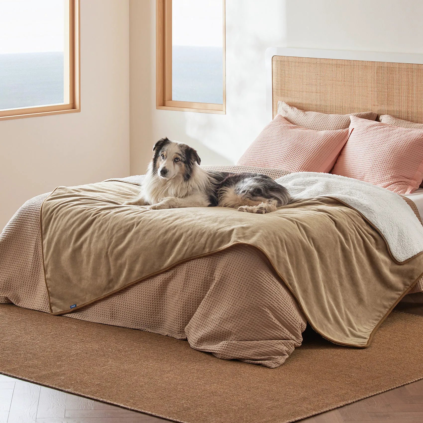 Reversible Sherpa & Microfiber Fleece Dog Blanket