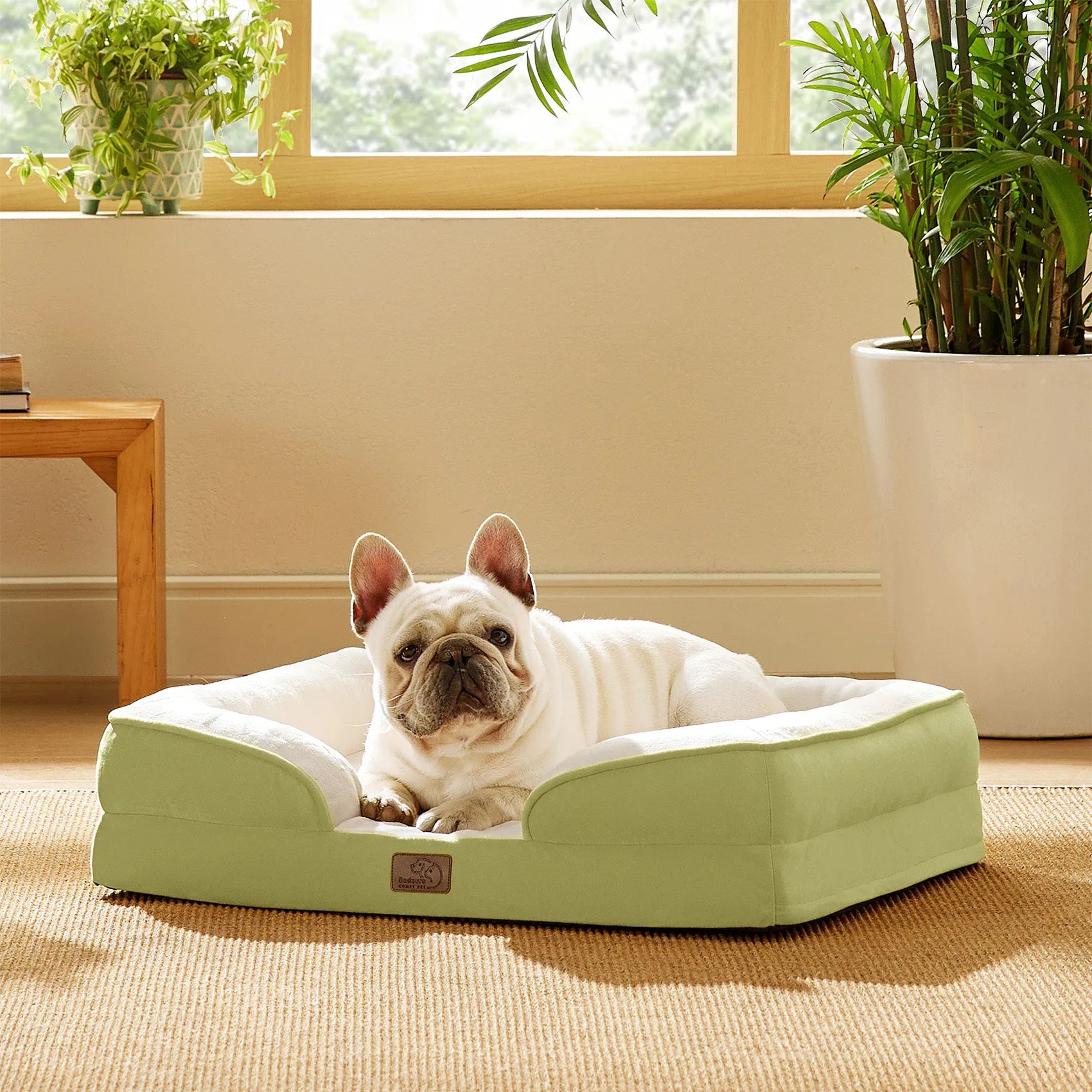 Orthopedic Dog Couch