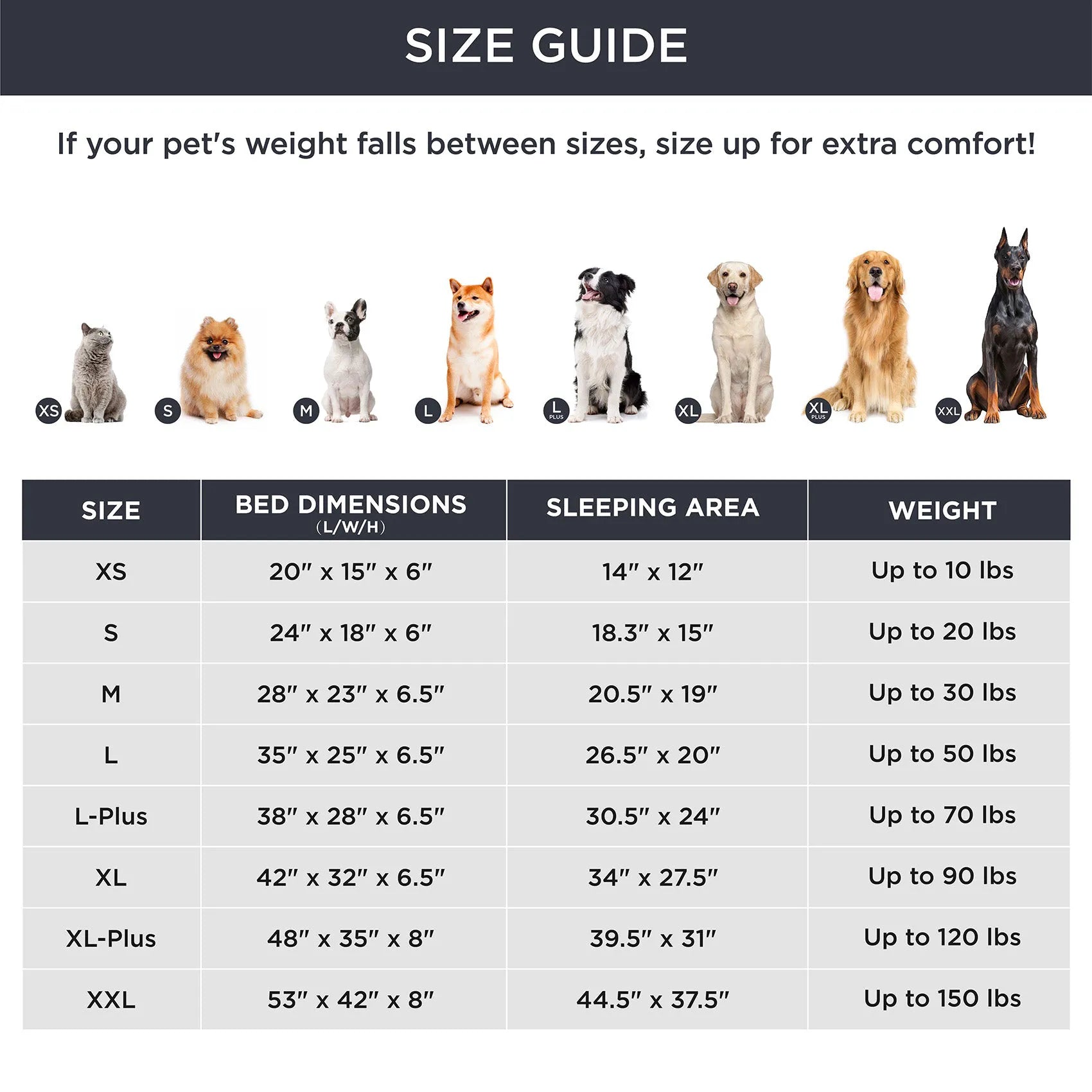 Orthopedic Dog Couch