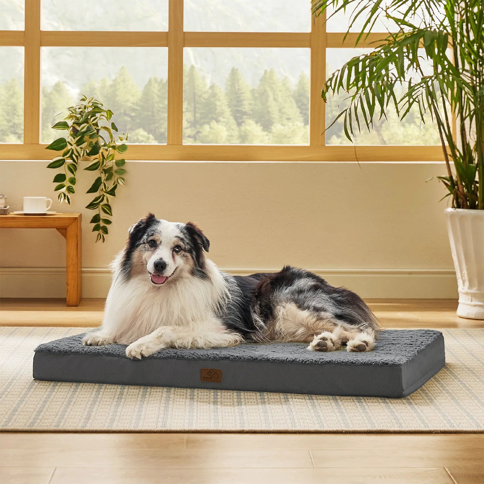 Large Washable Orthopedic Dog Bed