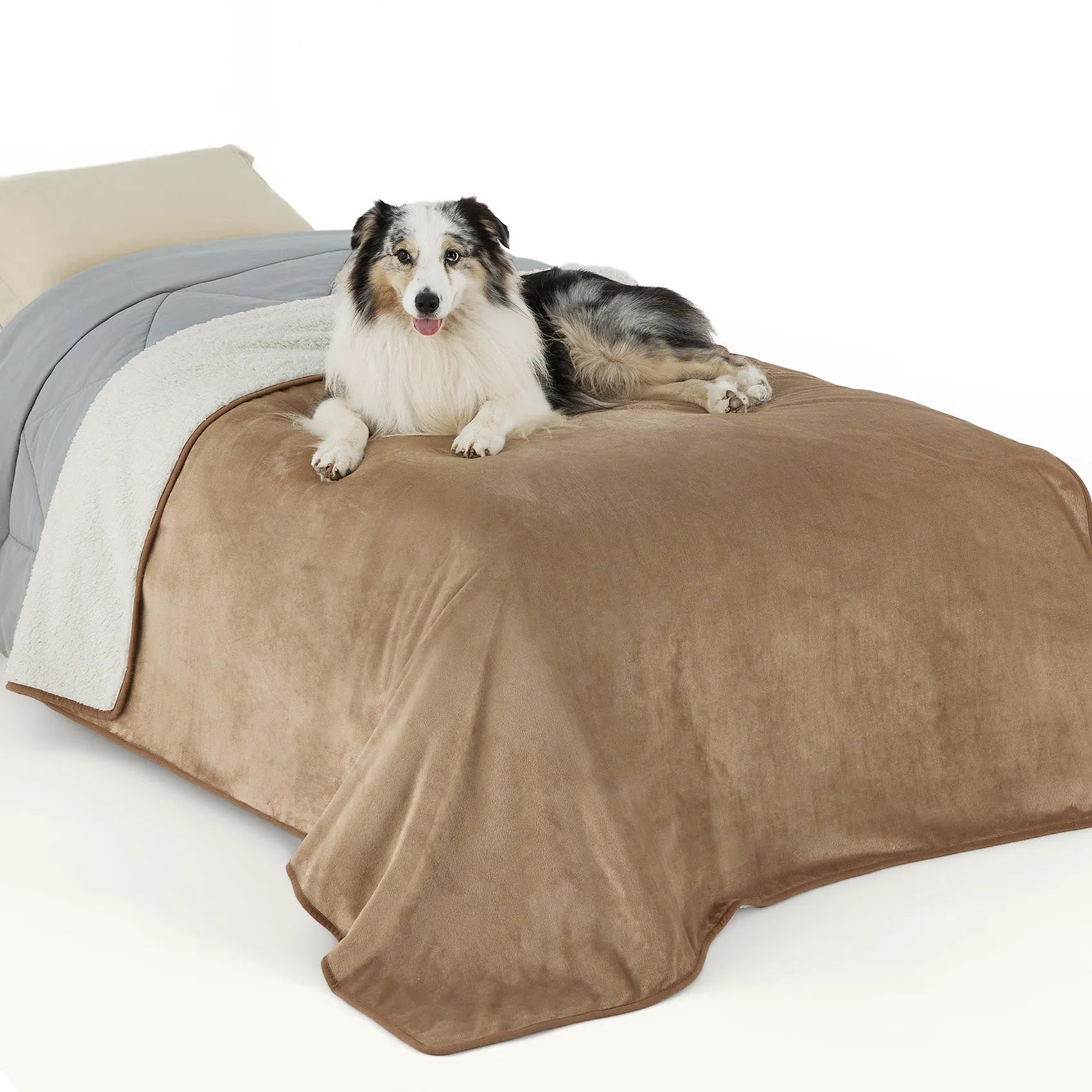 Reversible Sherpa & Microfiber Fleece Dog Blanket