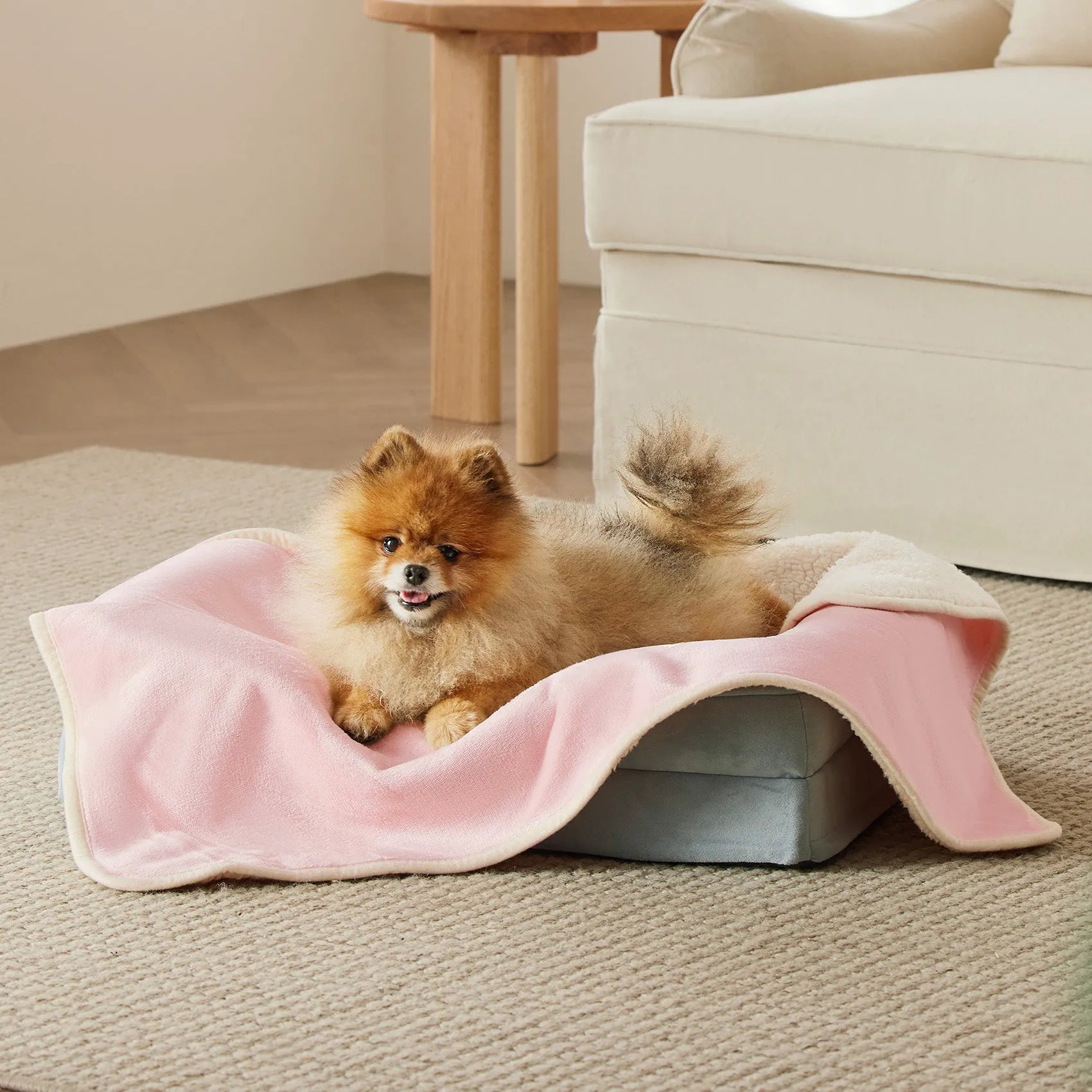 Reversible Sherpa & Microfiber Fleece Dog Blanket