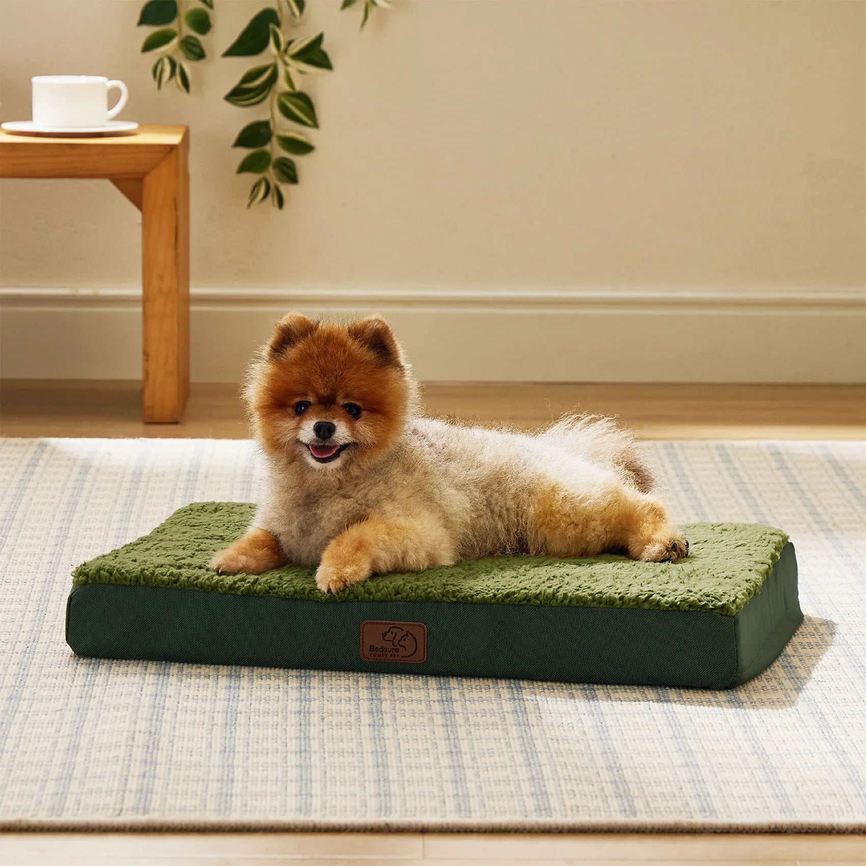 Large Washable Orthopedic Dog Bed
