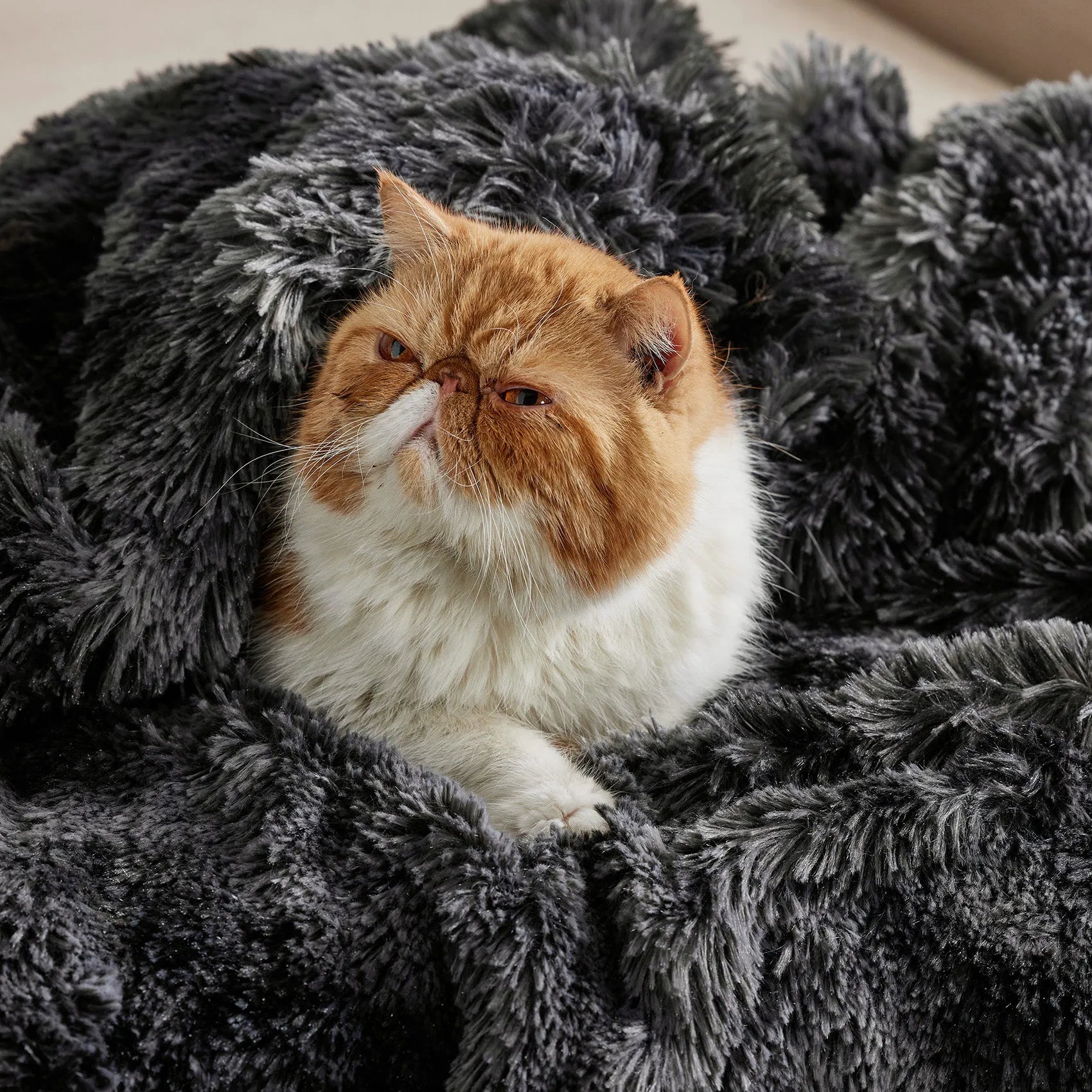 Fuzzy Faux Fur Throw Blanket