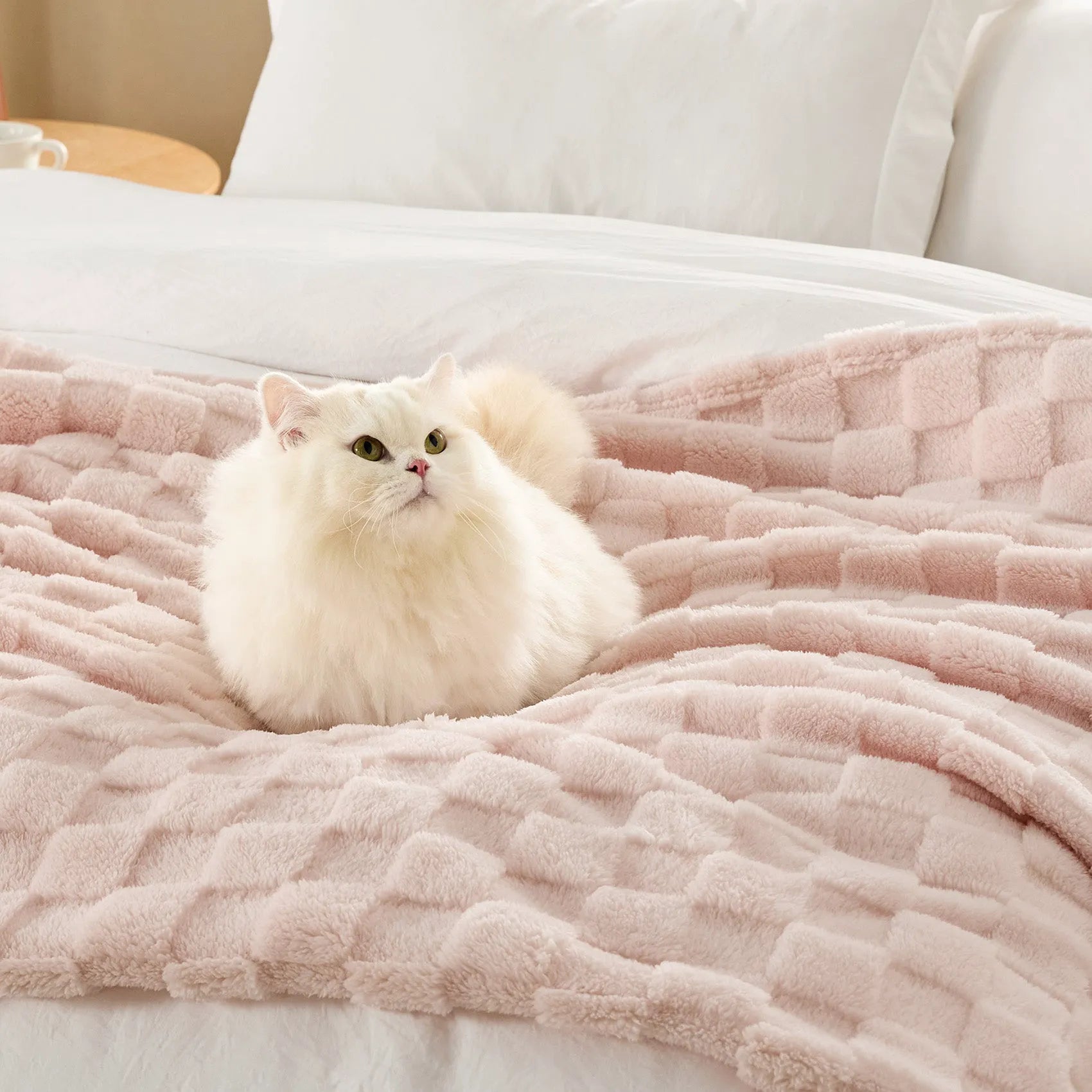 Jacquard Shaggy Sherpa Blanket