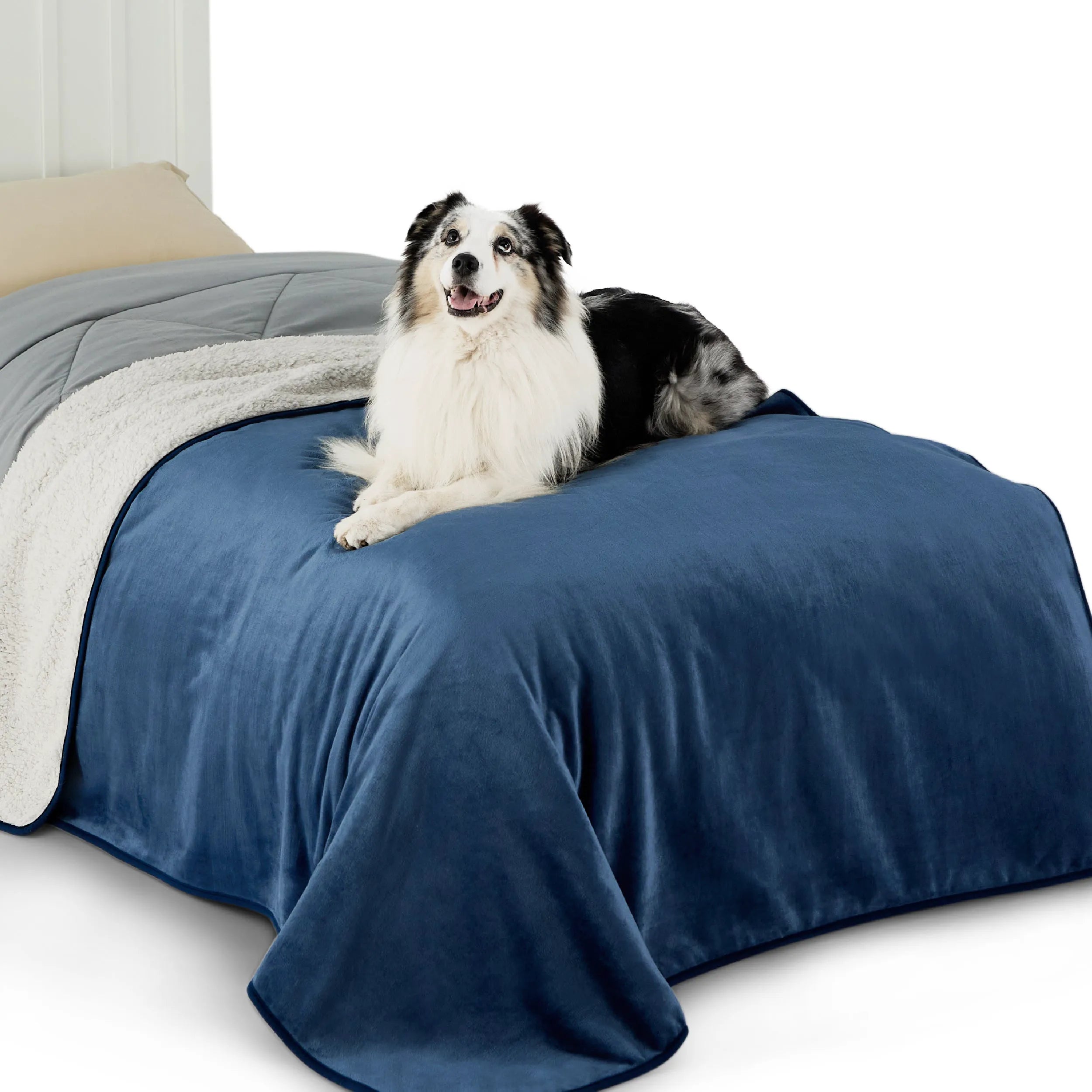 Reversible Sherpa & Microfiber Fleece Dog Blanket