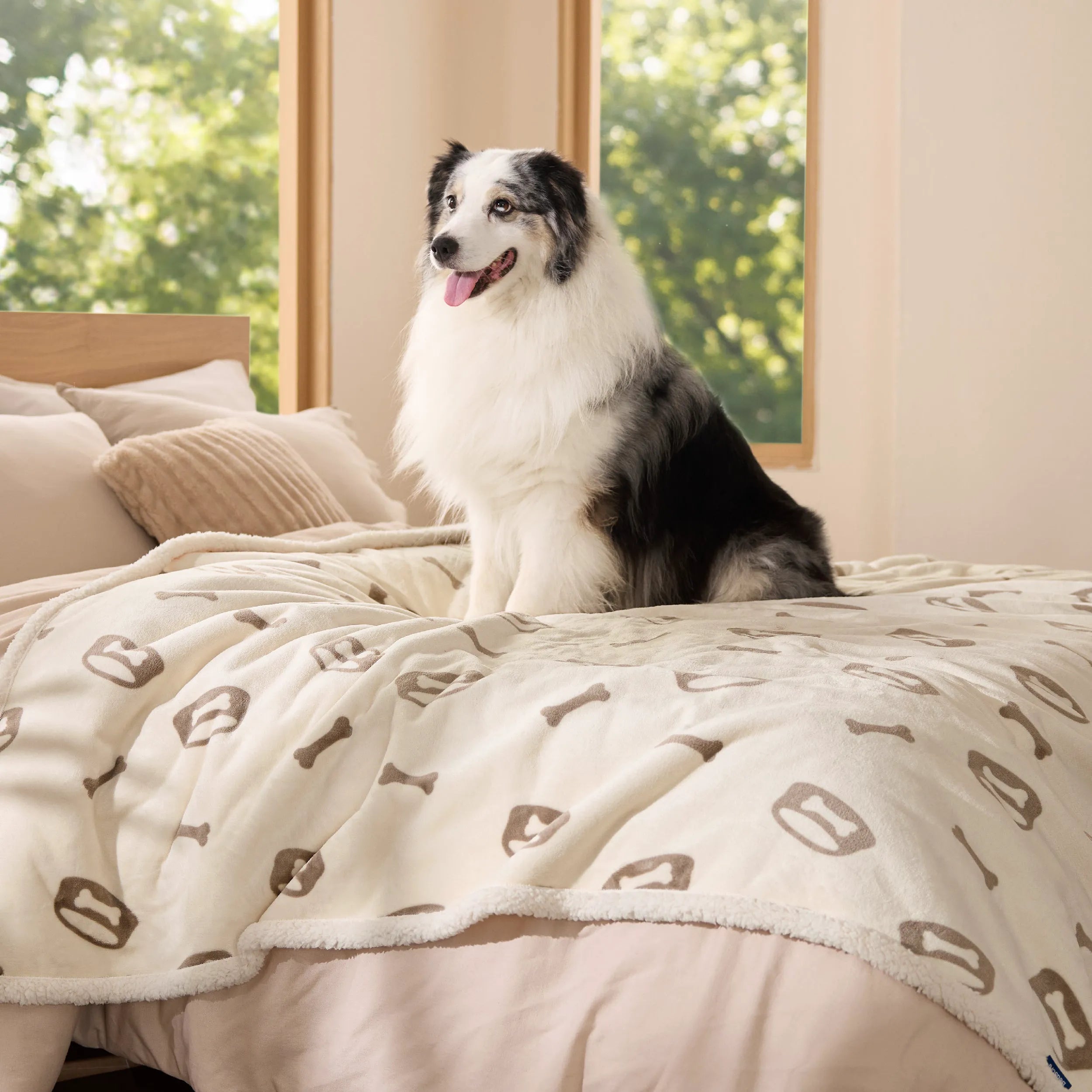 Reversible Waterproof Sherpa Blanket