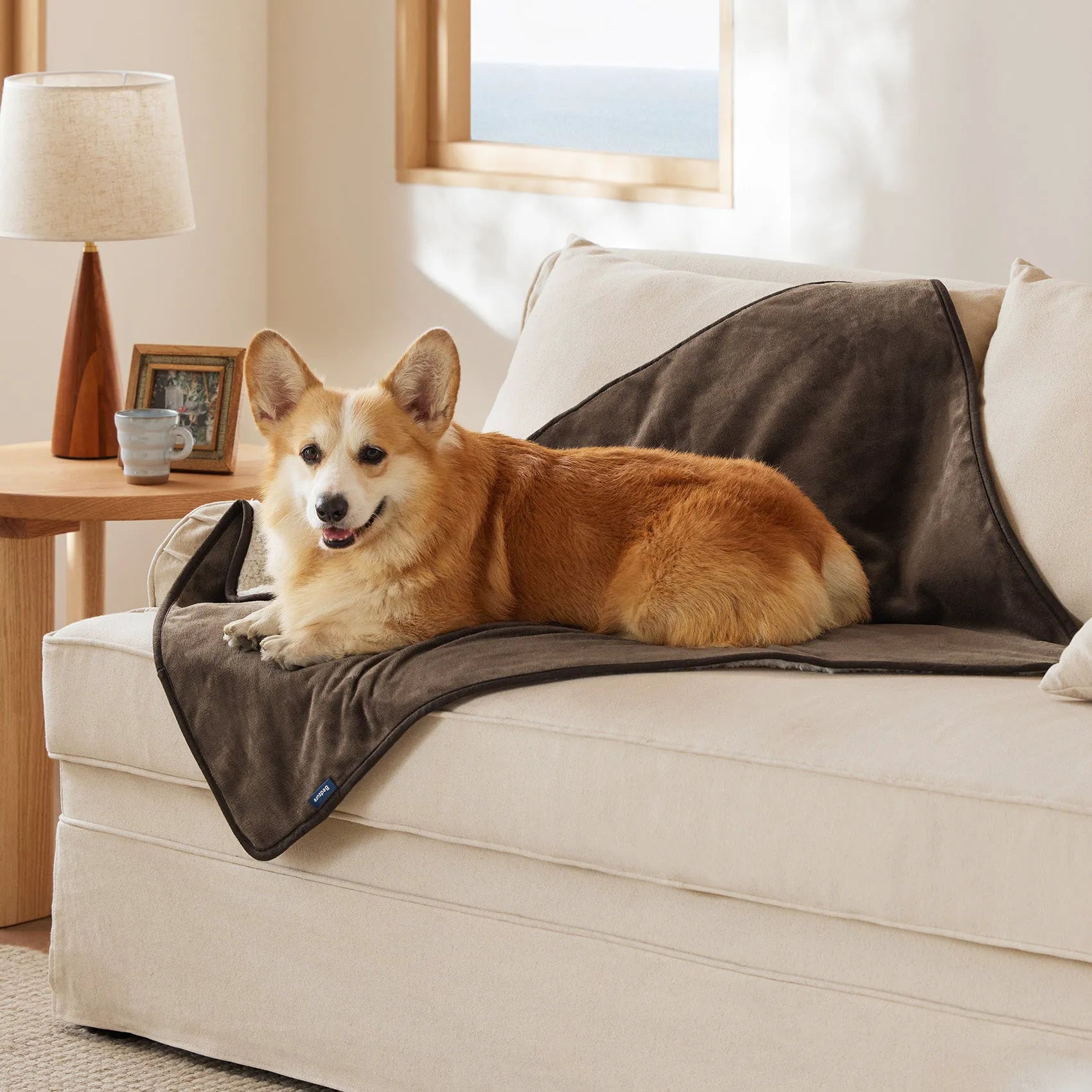 Reversible Sherpa & Microfiber Fleece Dog Blanket