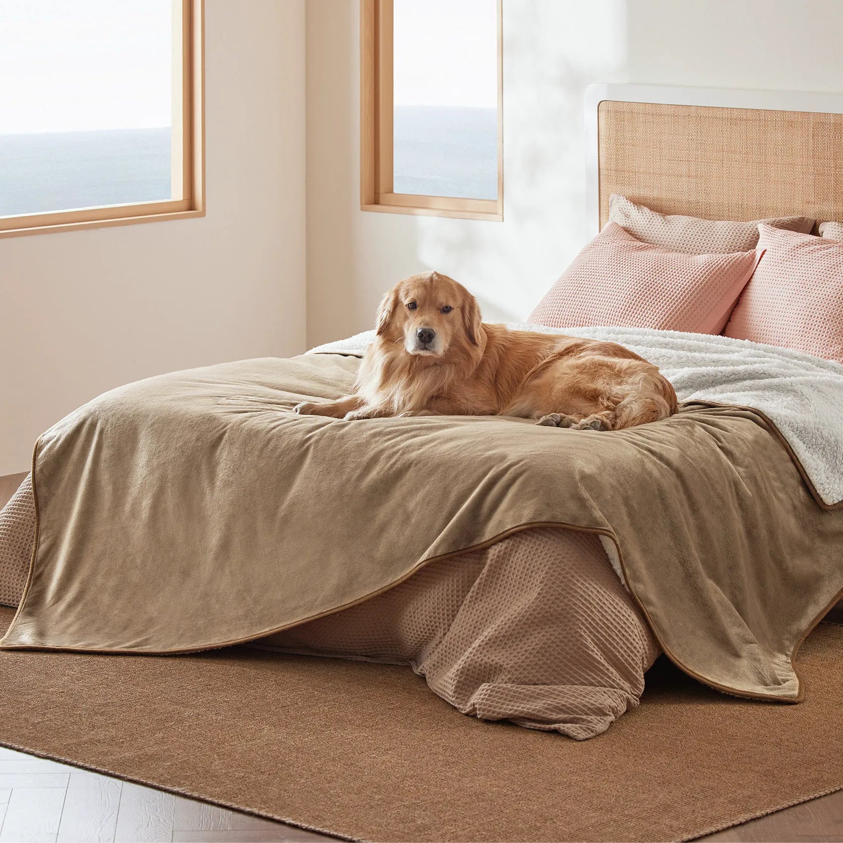 Reversible Sherpa & Microfiber Fleece Dog Blanket