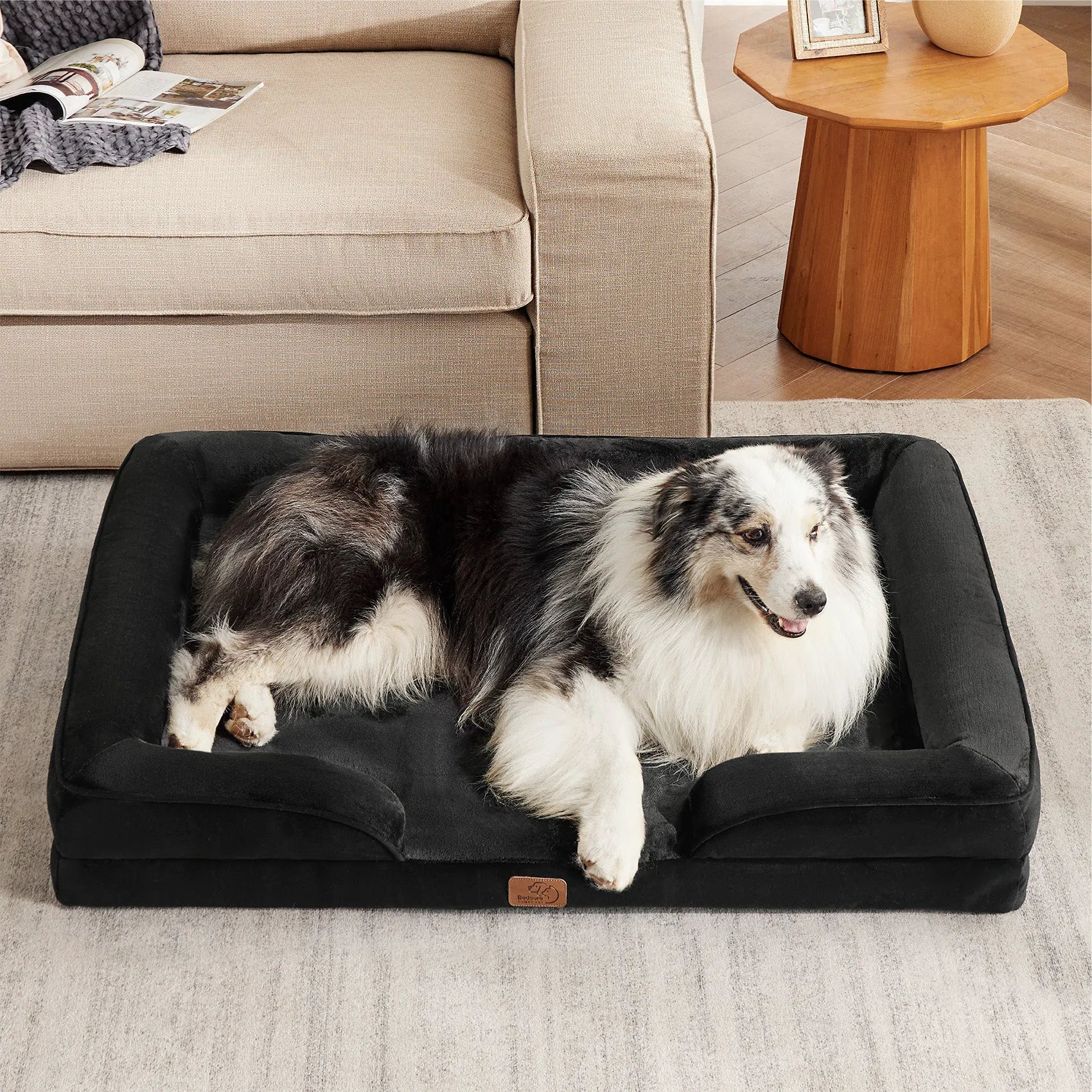 Orthopedic Dog Couch
