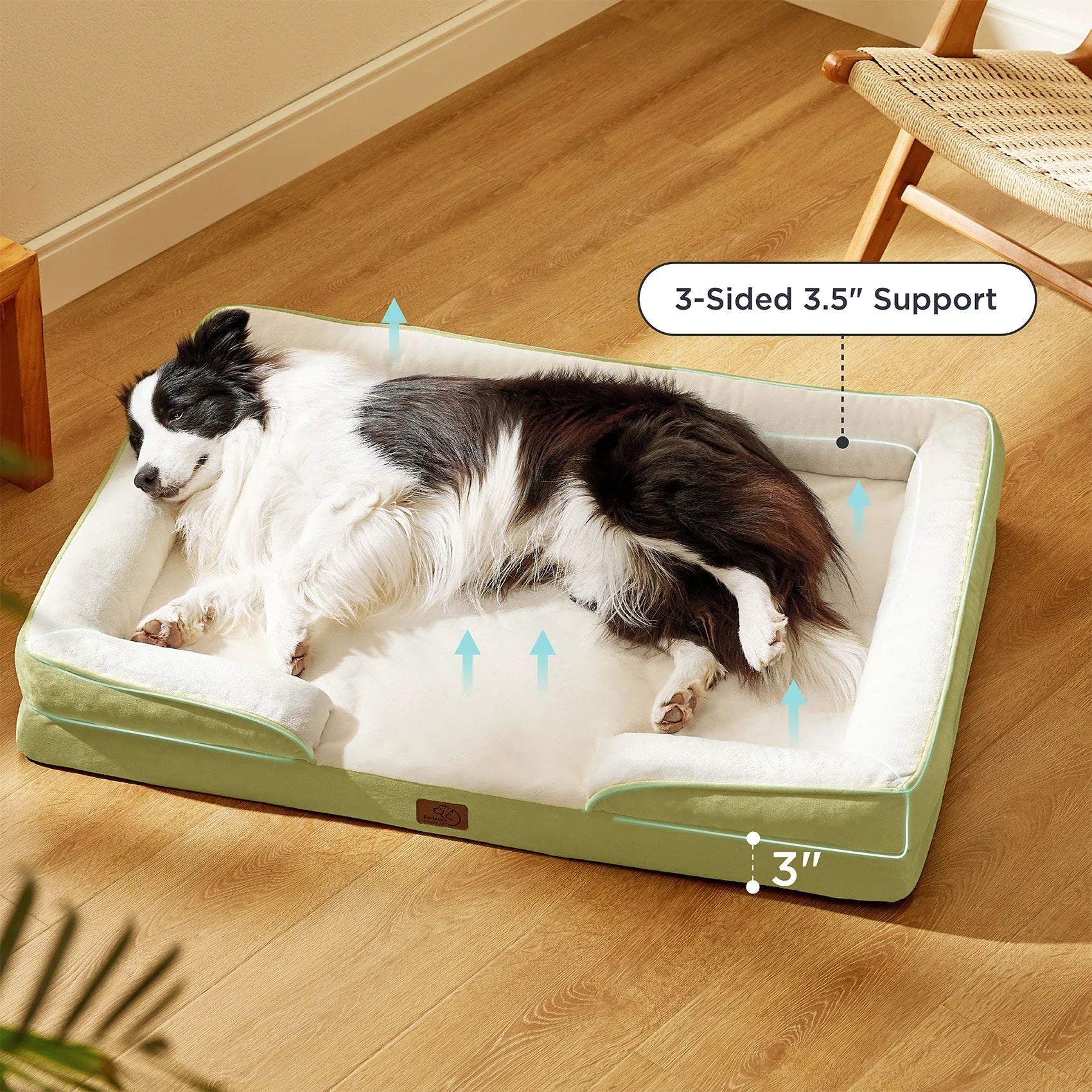 Orthopedic Dog Couch