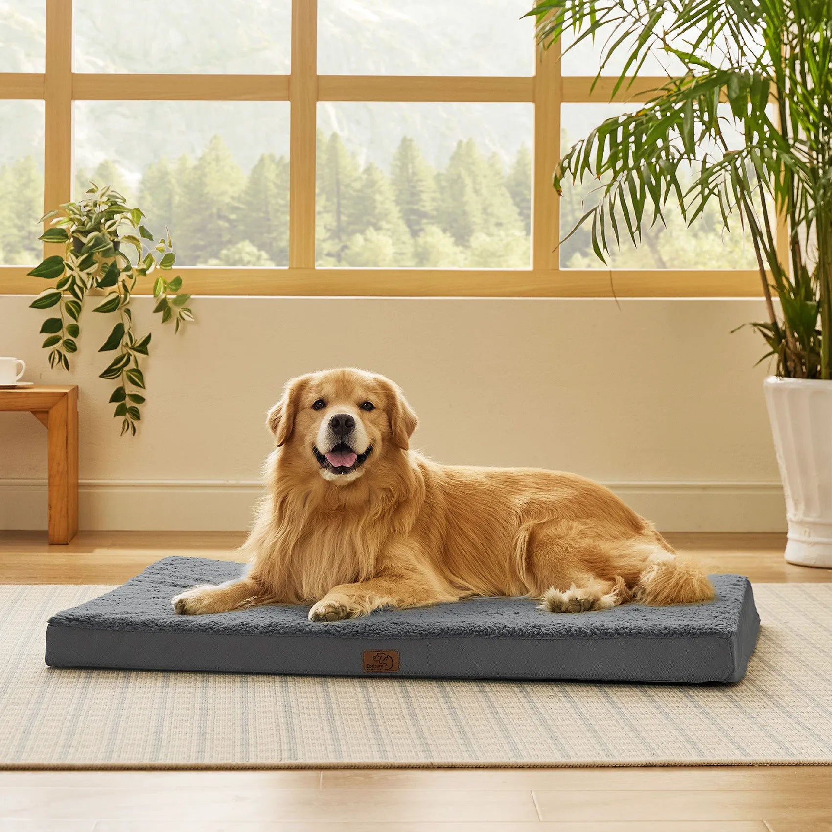 Large Washable Orthopedic Dog Bed