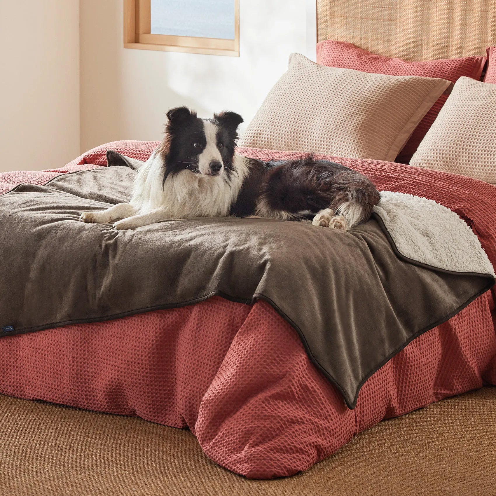 Reversible Sherpa & Microfiber Fleece Dog Blanket