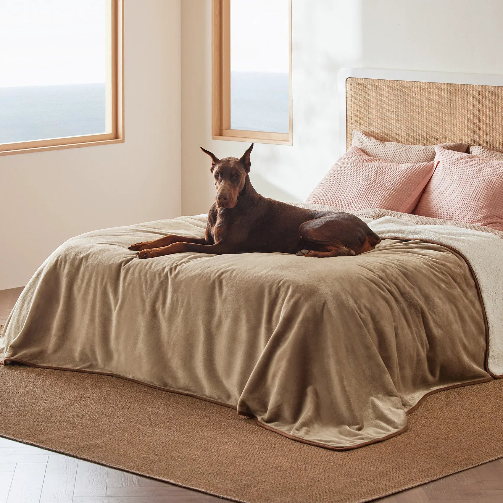 Reversible Sherpa & Microfiber Fleece Dog Blanket