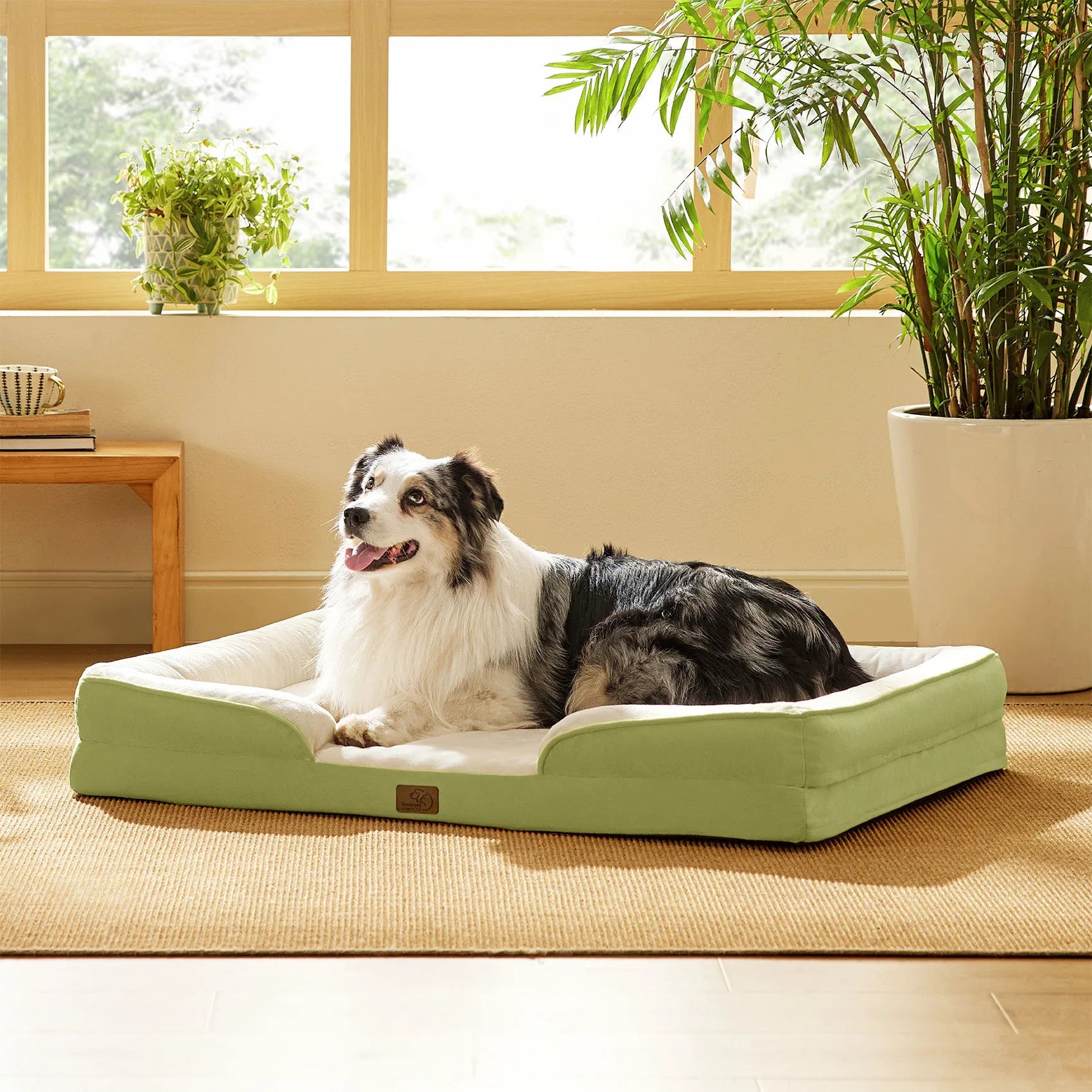 Orthopedic Dog Couch