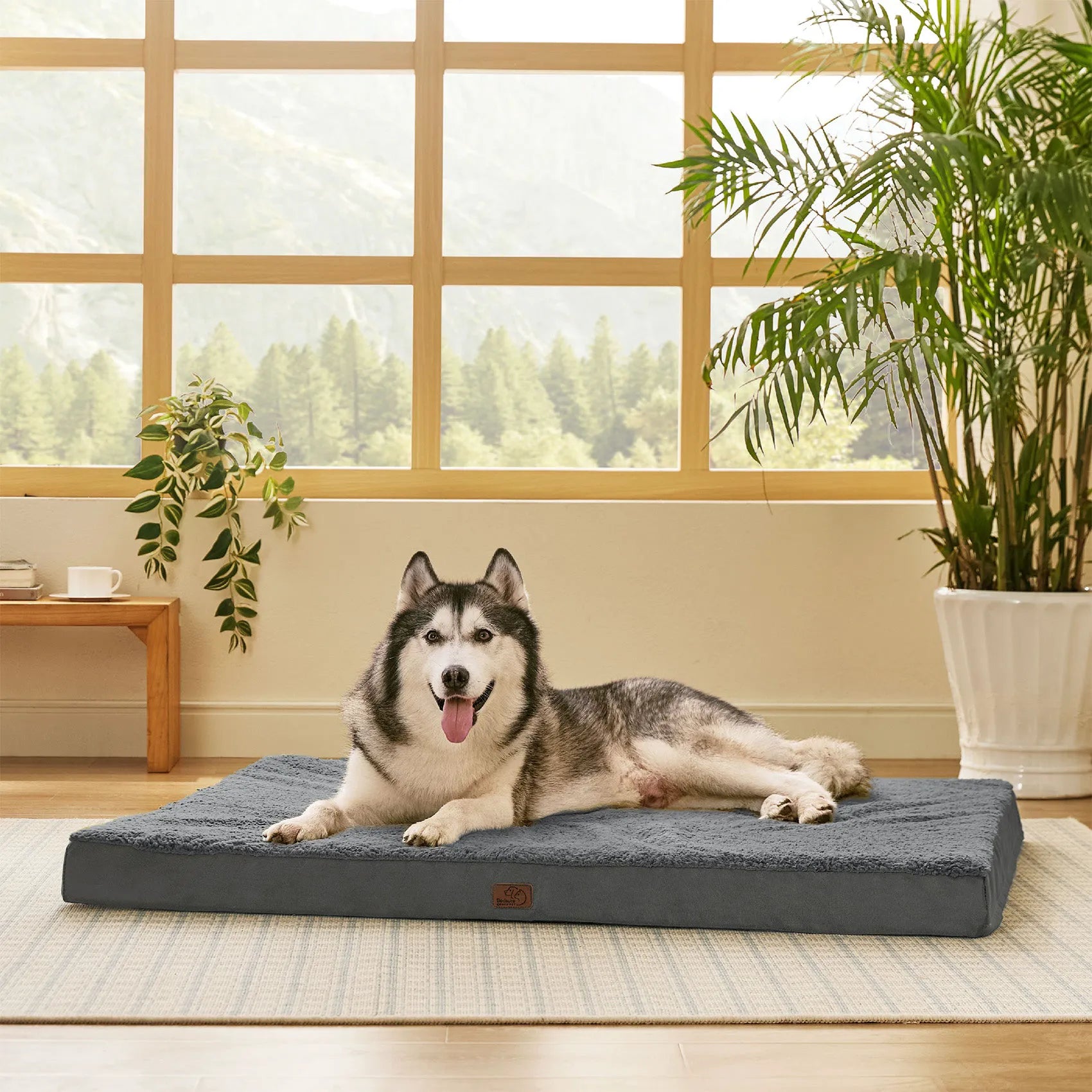 Large Washable Orthopedic Dog Bed
