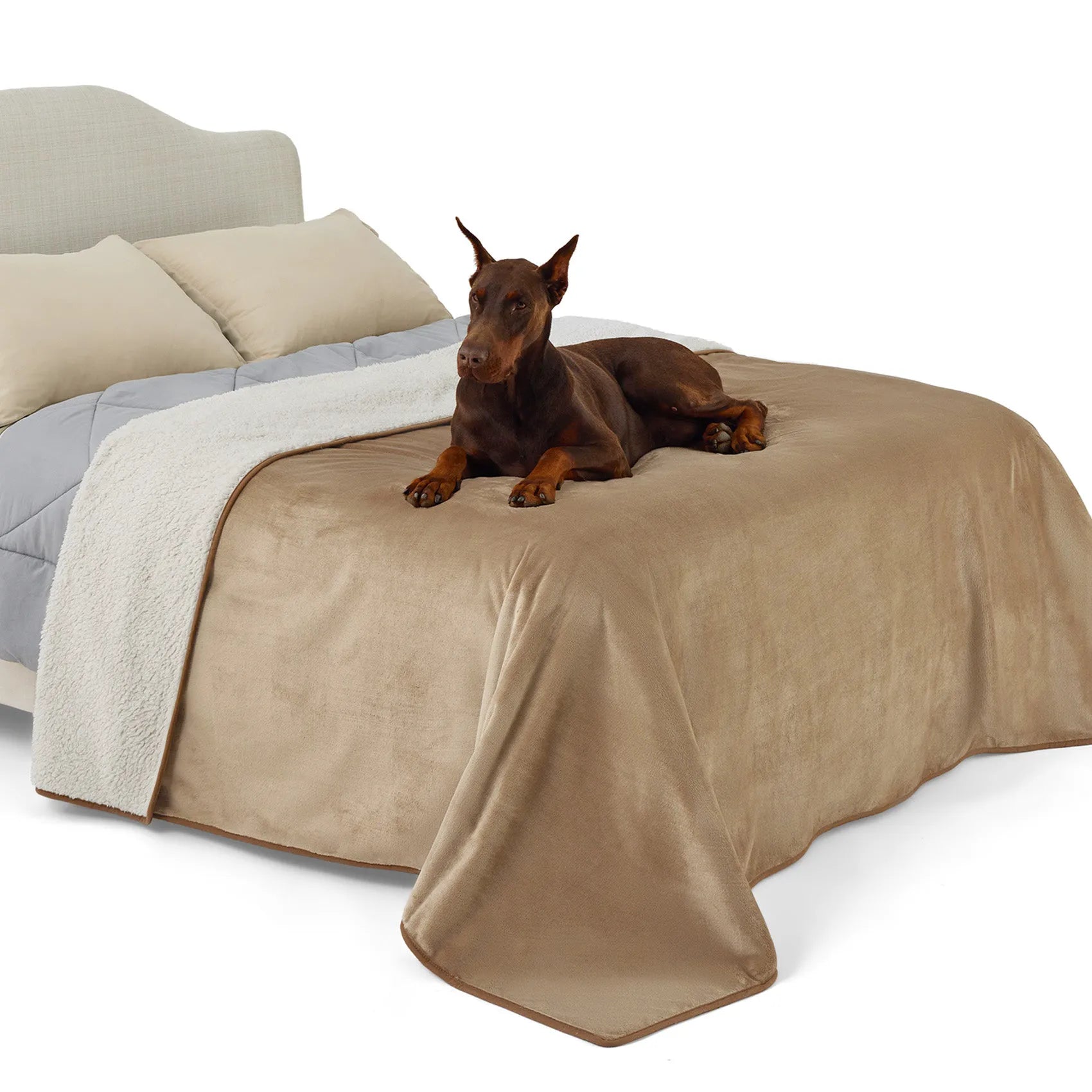 Reversible Sherpa & Microfiber Fleece Dog Blanket