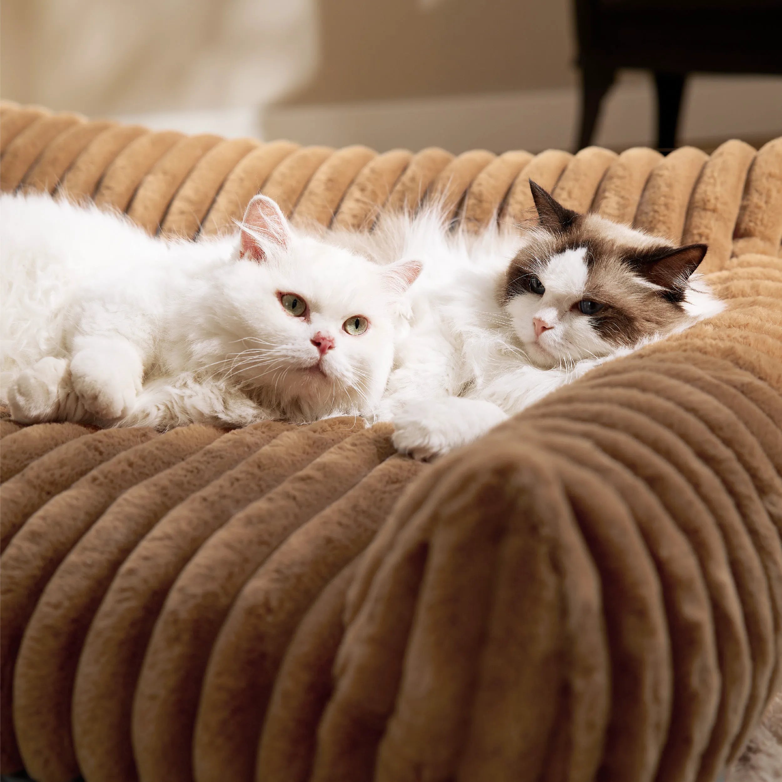 ComfyFleece™ Pet Couch