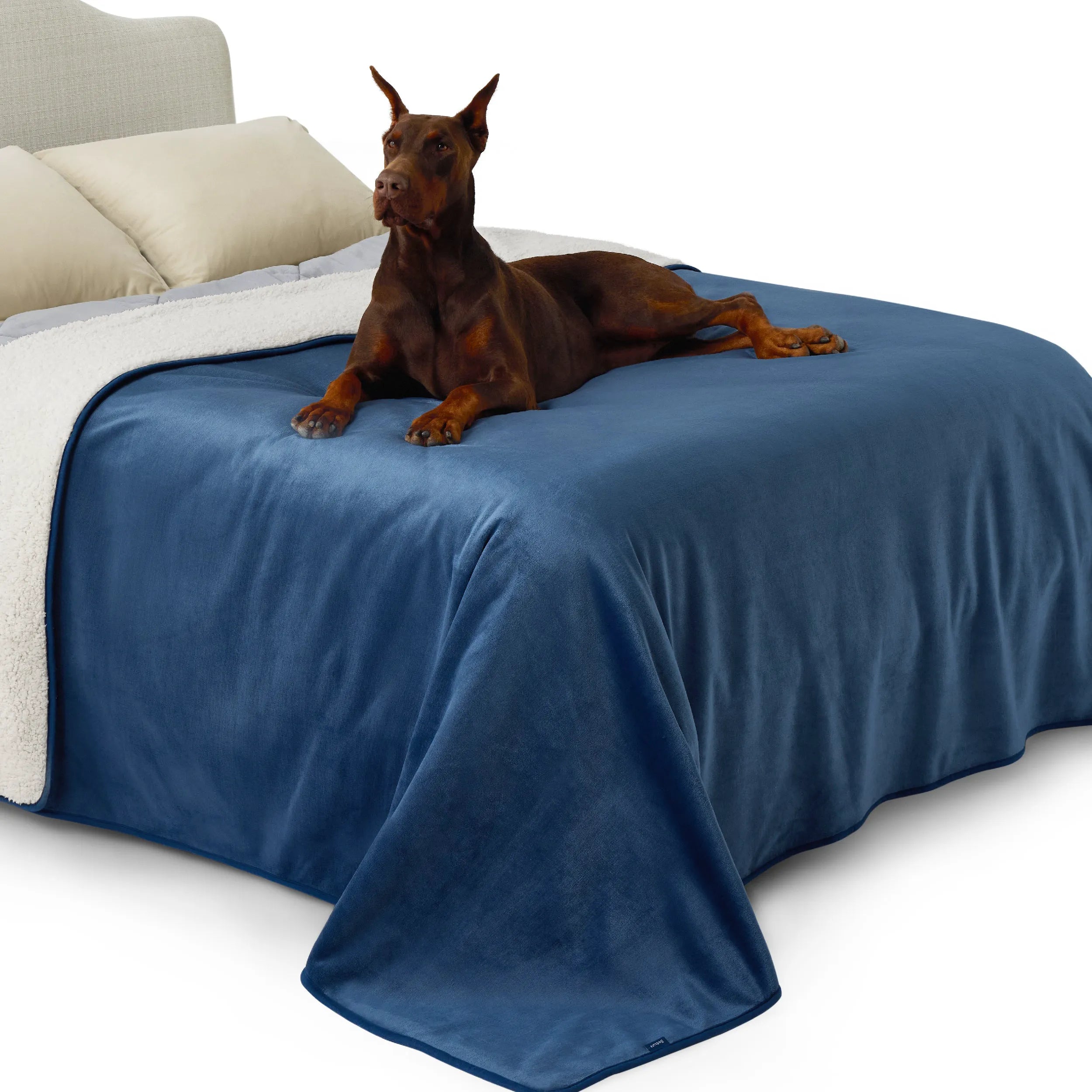 Reversible Sherpa & Microfiber Fleece Dog Blanket