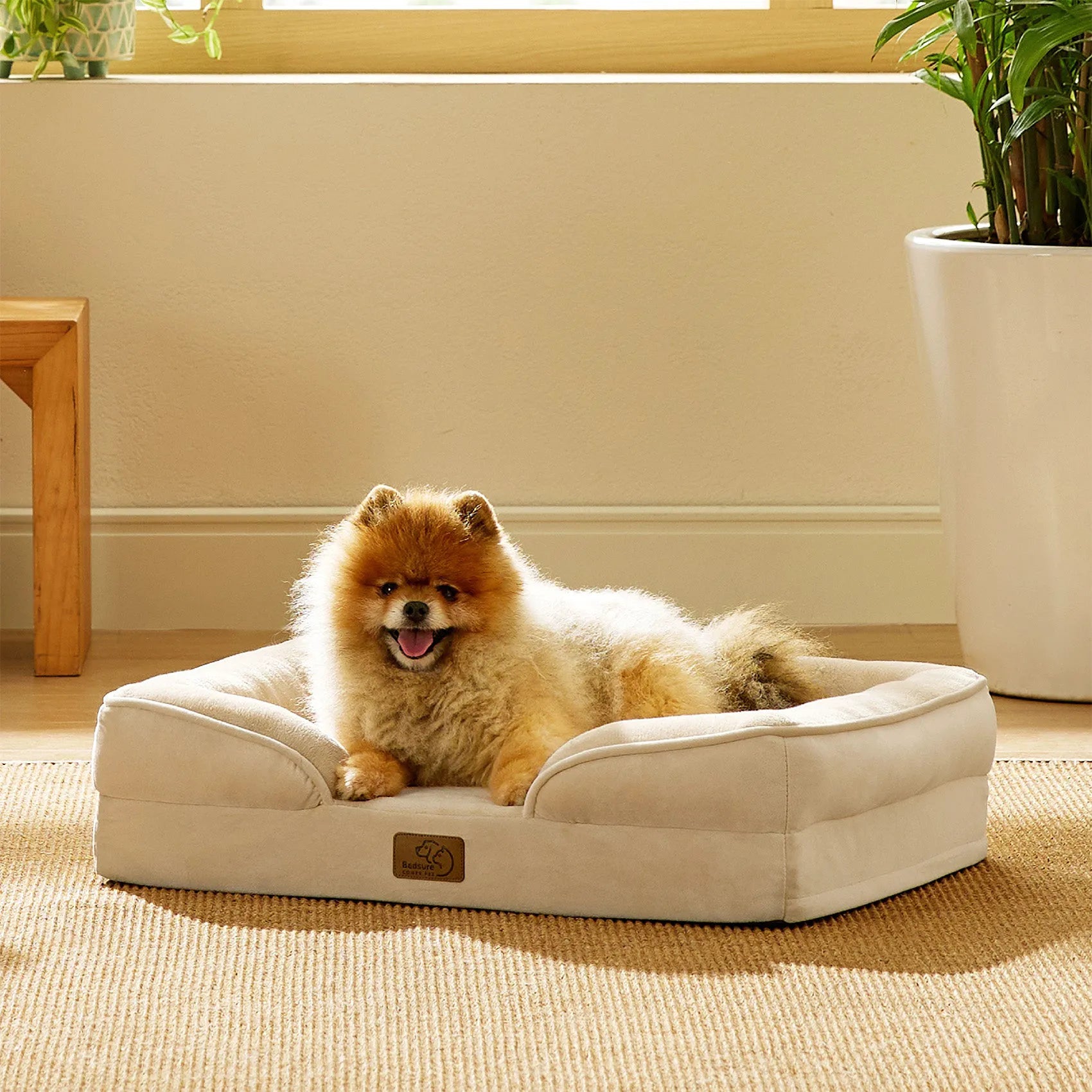 Orthopedic Dog Couch