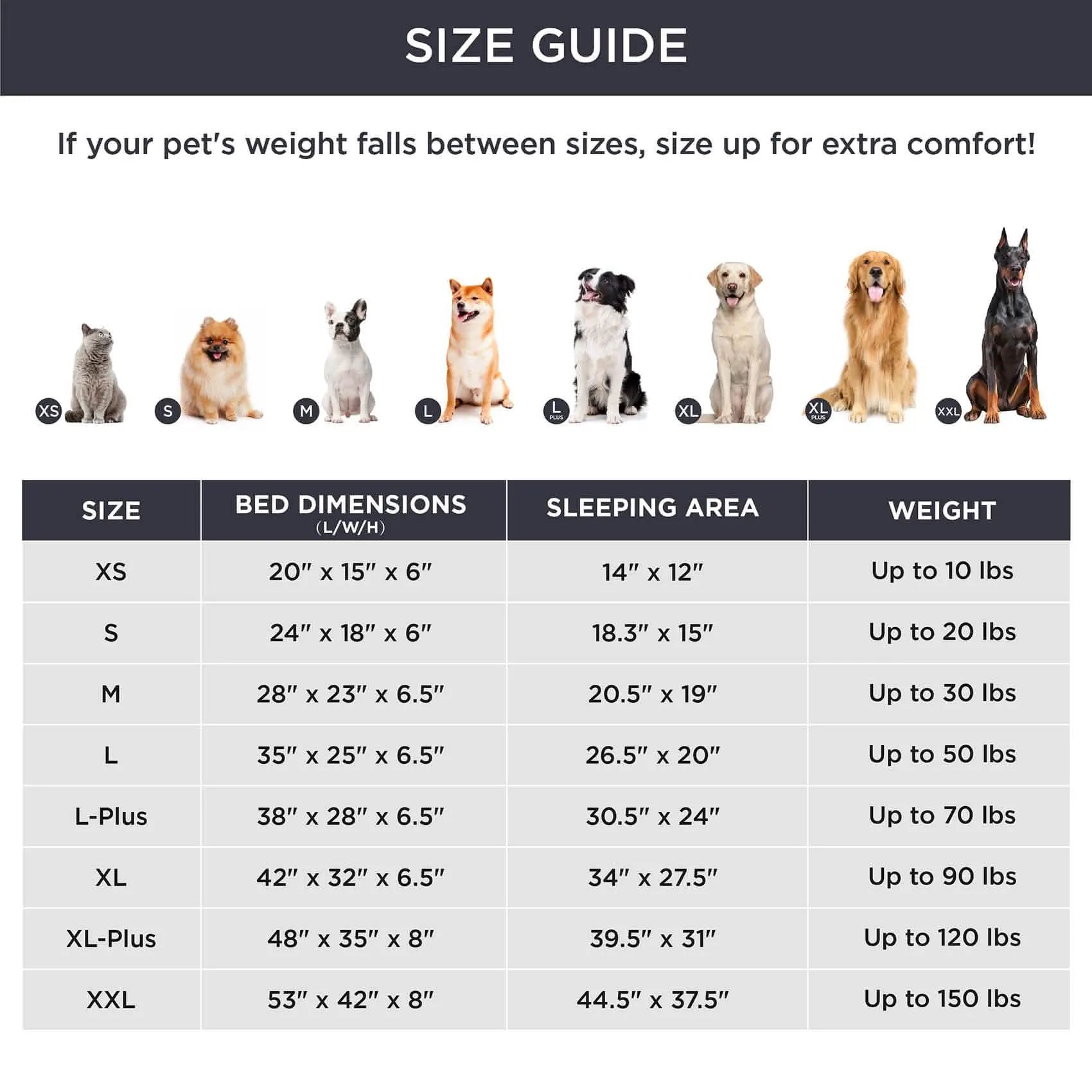 Orthopedic Plush Flannel Dog Couch
