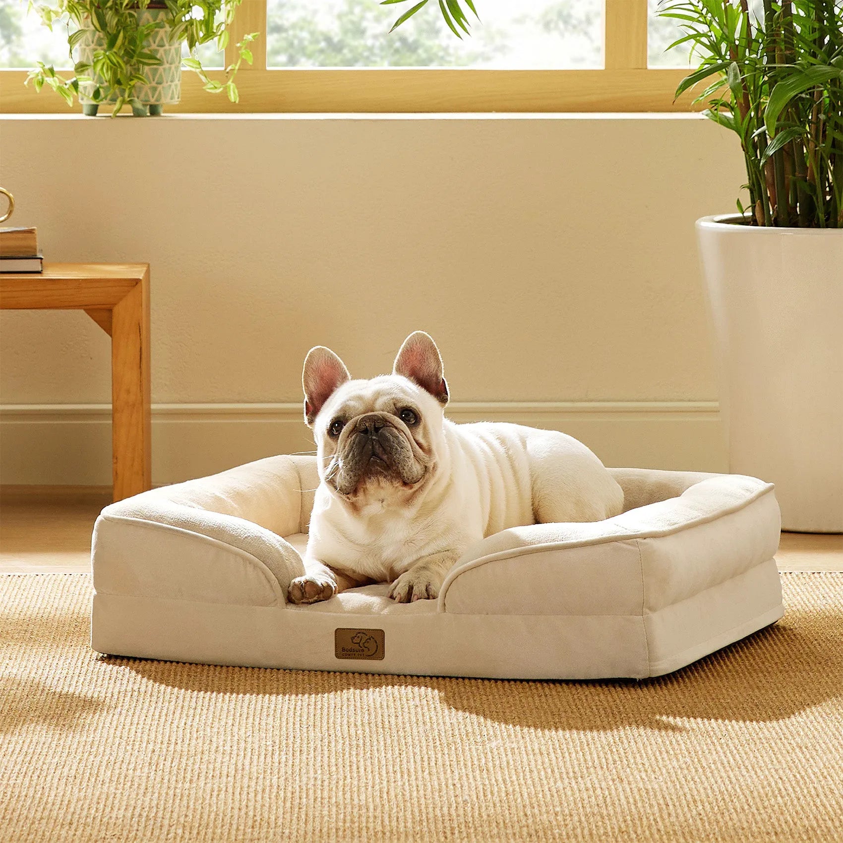 Orthopedic Dog Couch