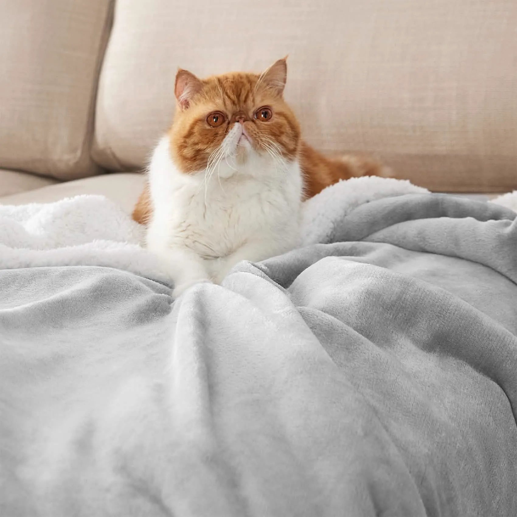 Cozy Sherpa Fleece Throw Blanket