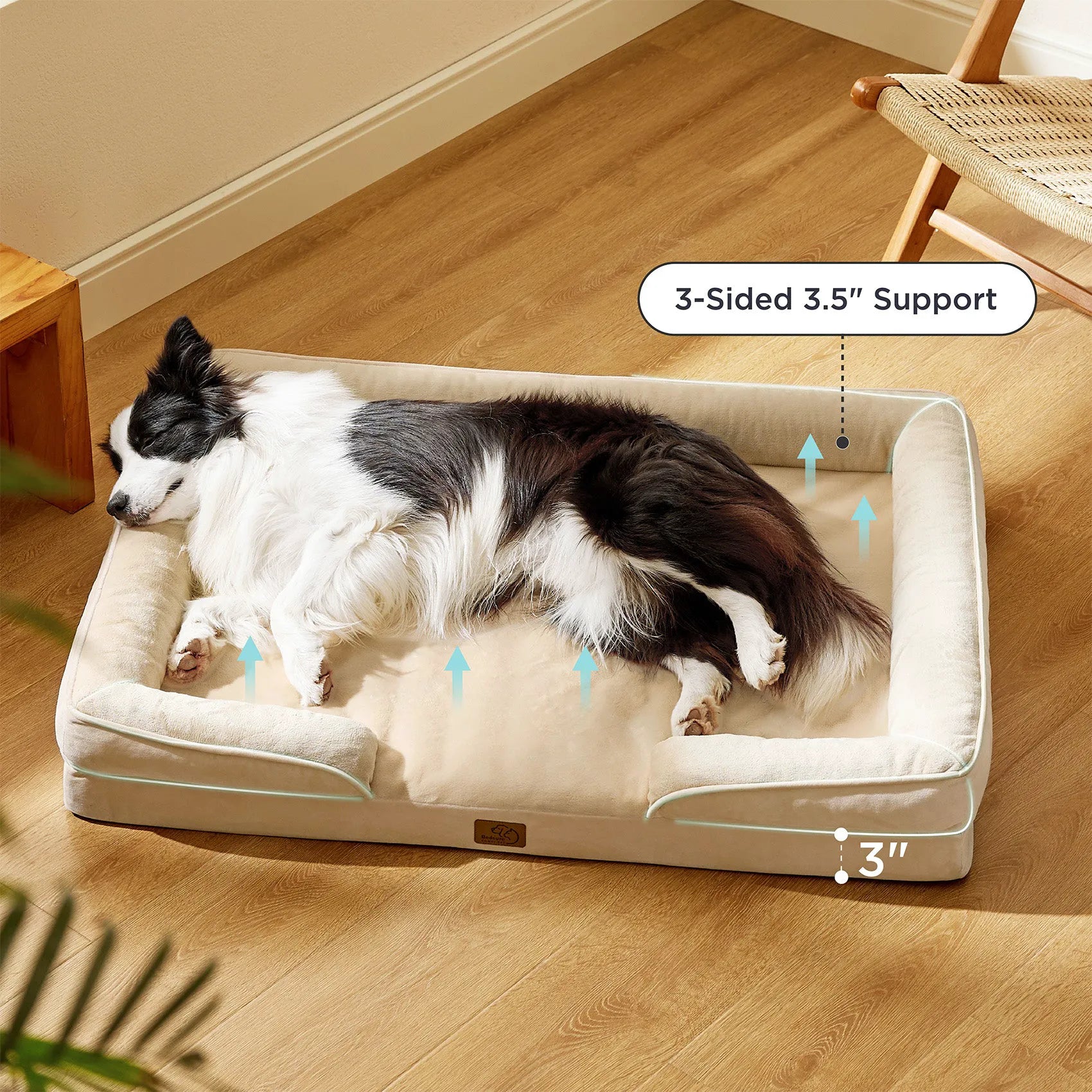 Orthopedic Dog Couch