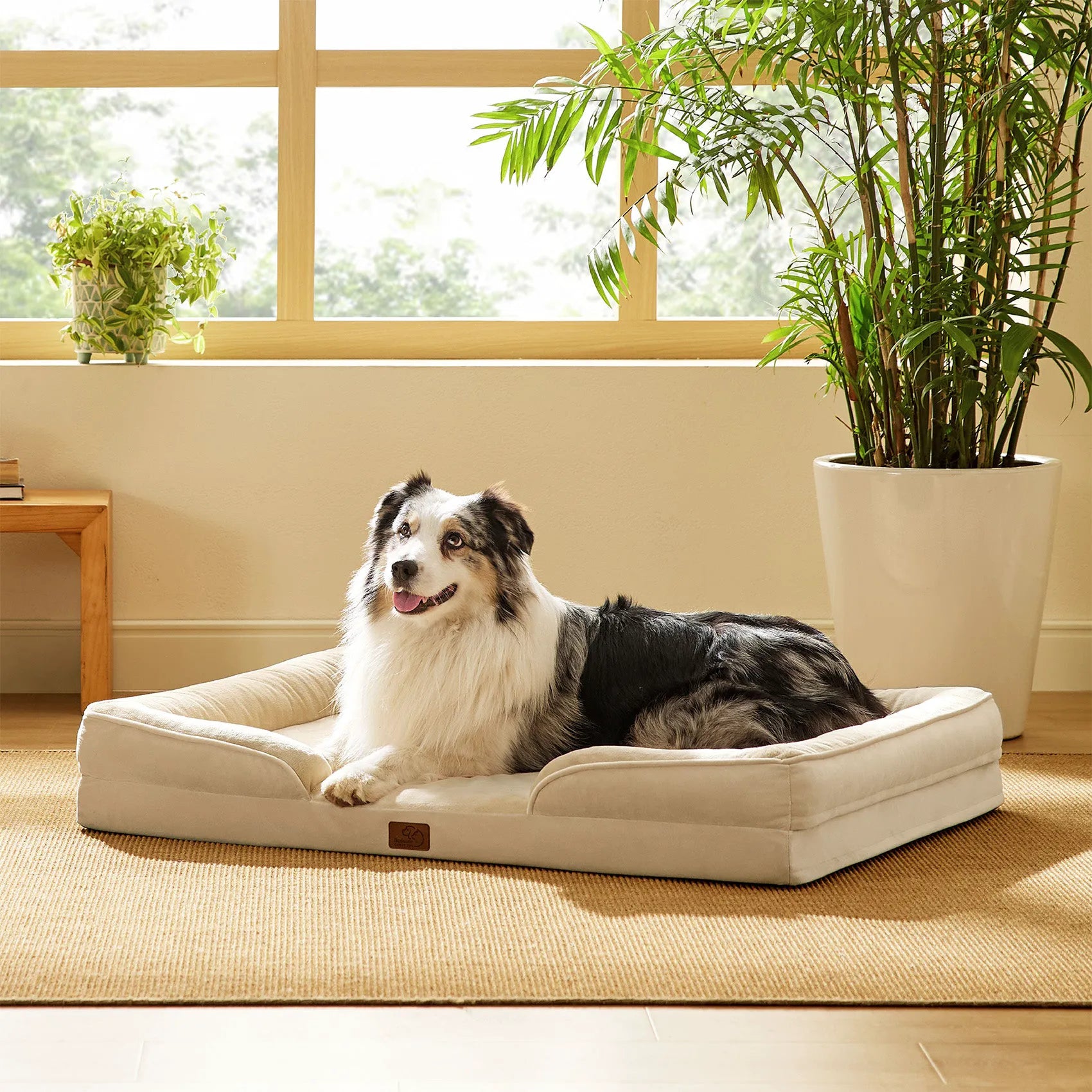 Orthopedic Dog Couch