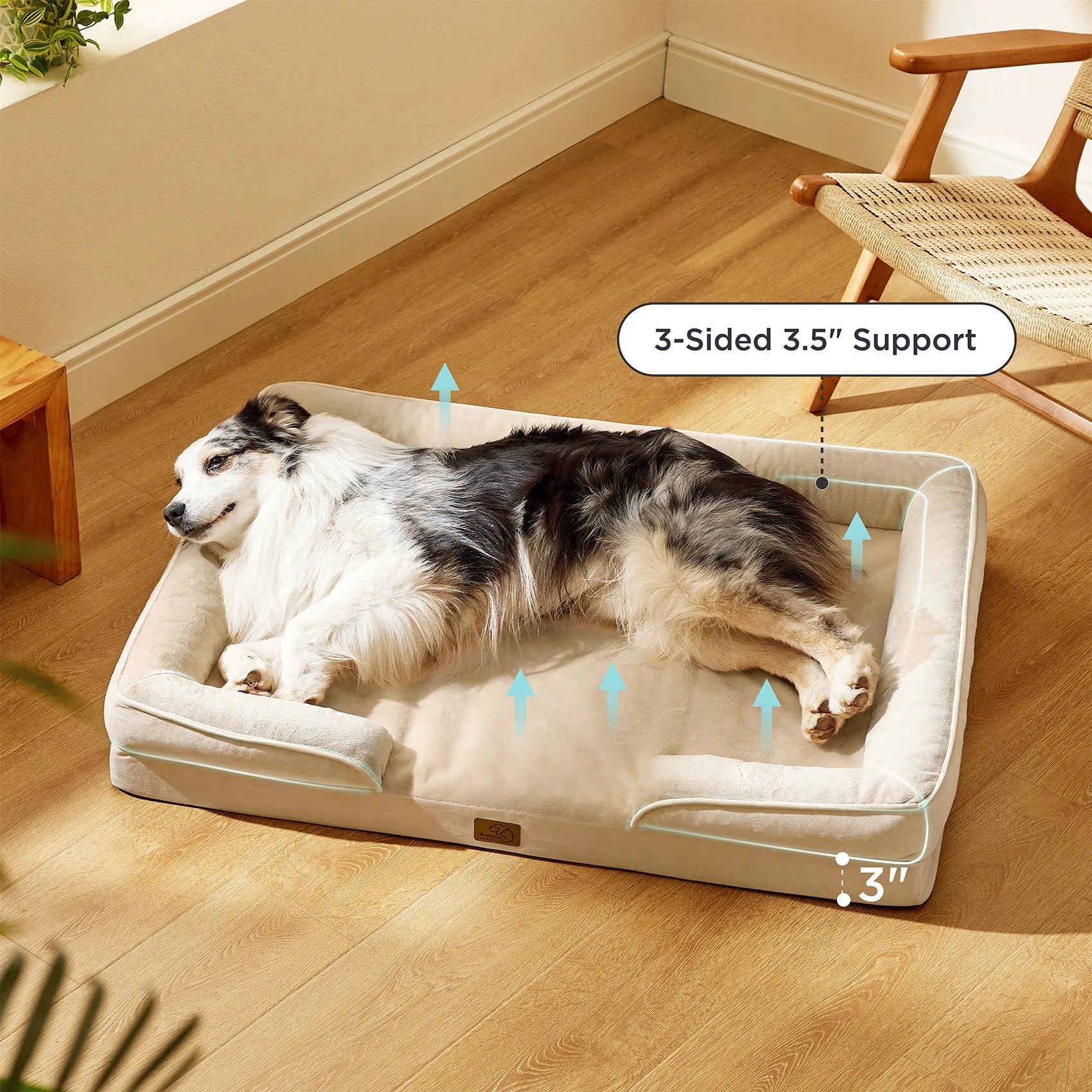 Orthopedic Dog Couch