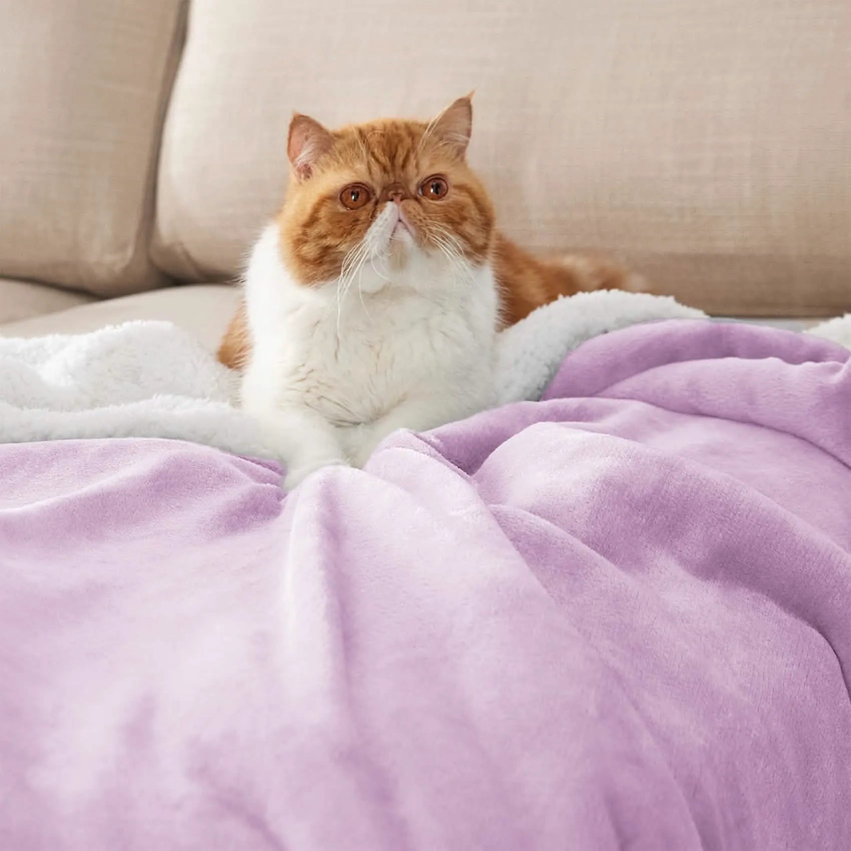 Cozy Sherpa Fleece Throw Blanket