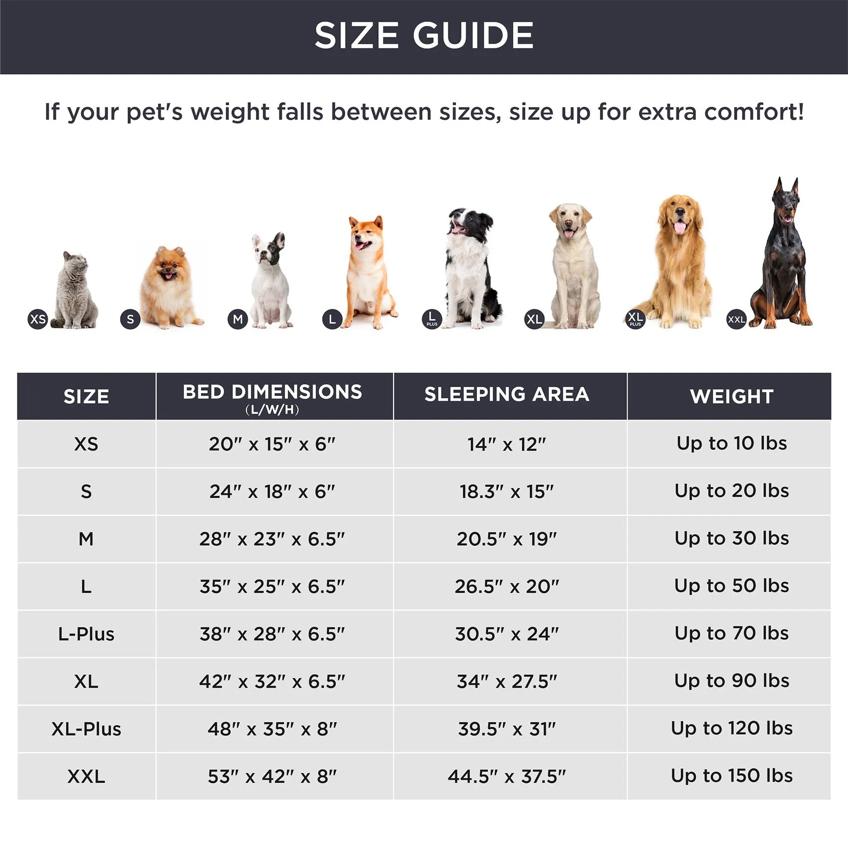 Orthopedic Dog Couch