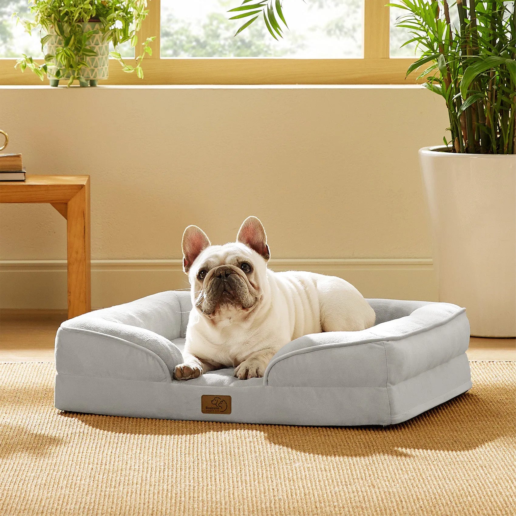 Orthopedic Dog Couch