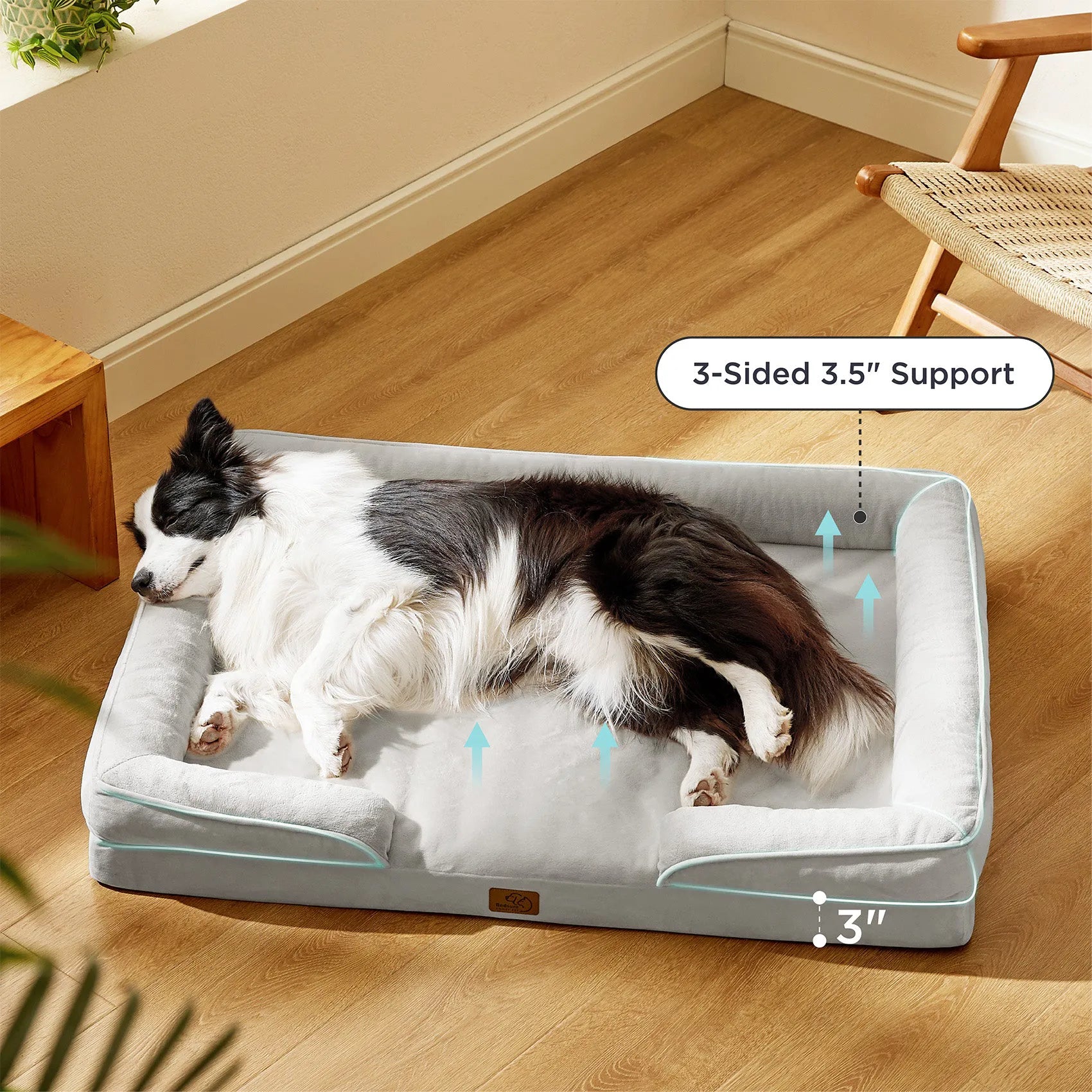 Orthopedic Dog Couch