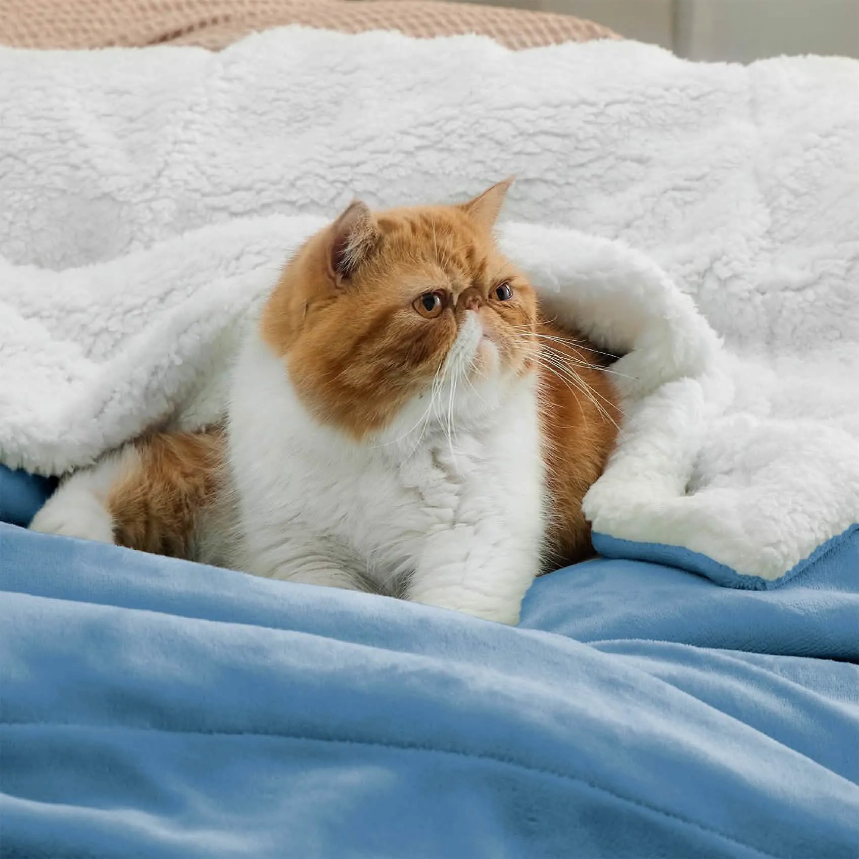 Cozy Sherpa Fleece Throw Blanket