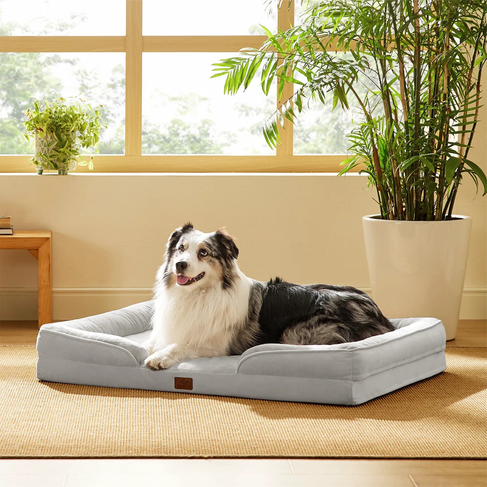 Orthopedic Dog Couch