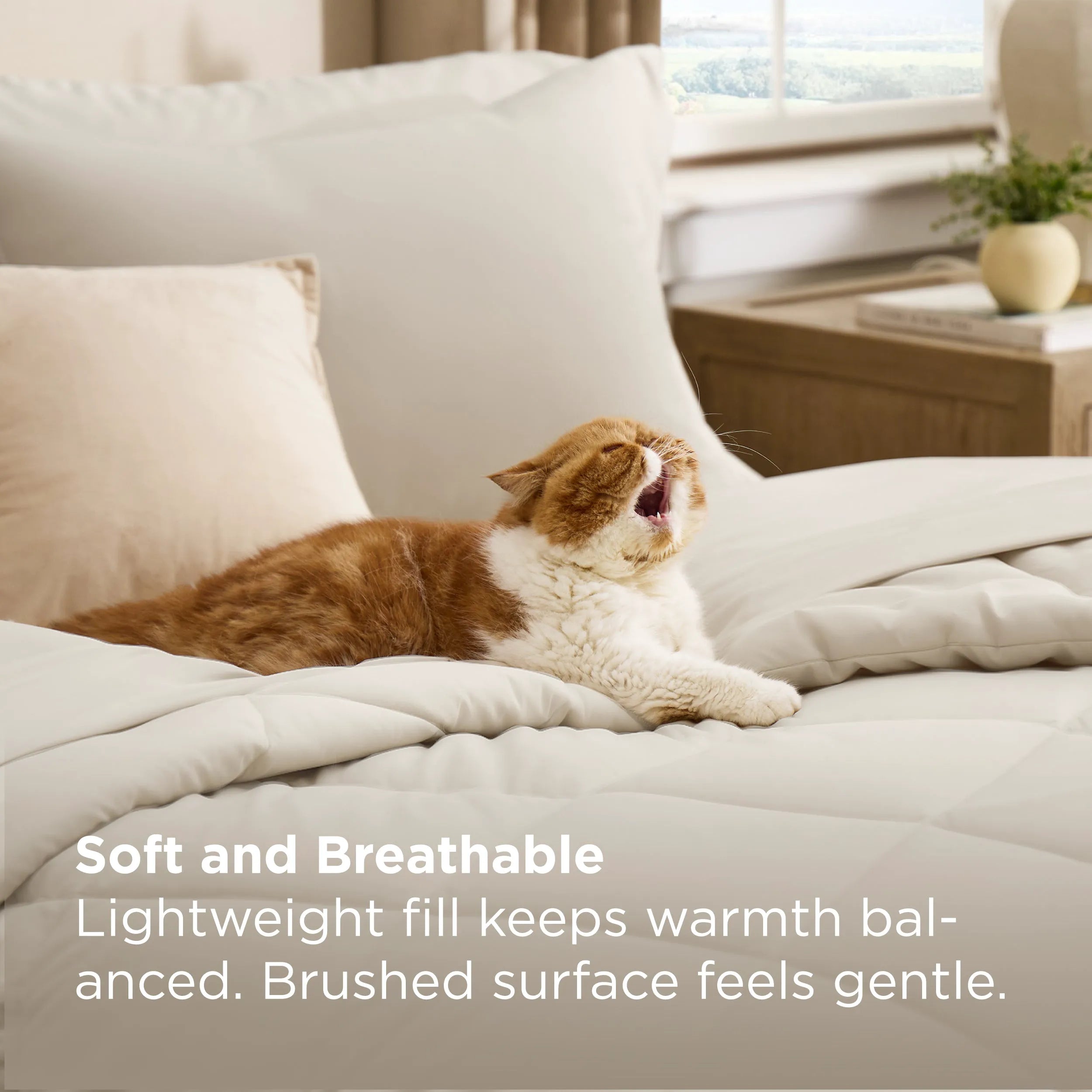 Diamond Quilted Bed-in-a-Bag