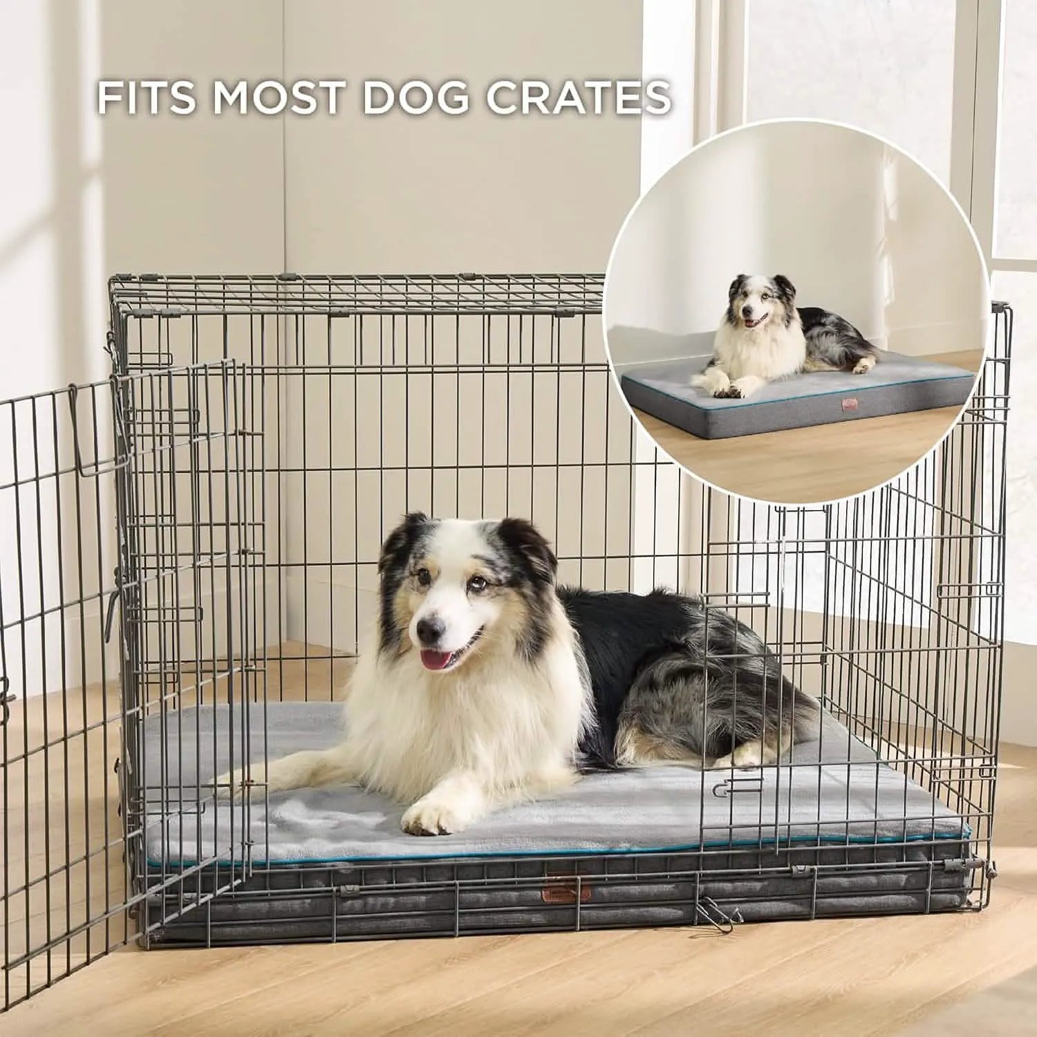 Orthopedic Memory Foam Dog Bed