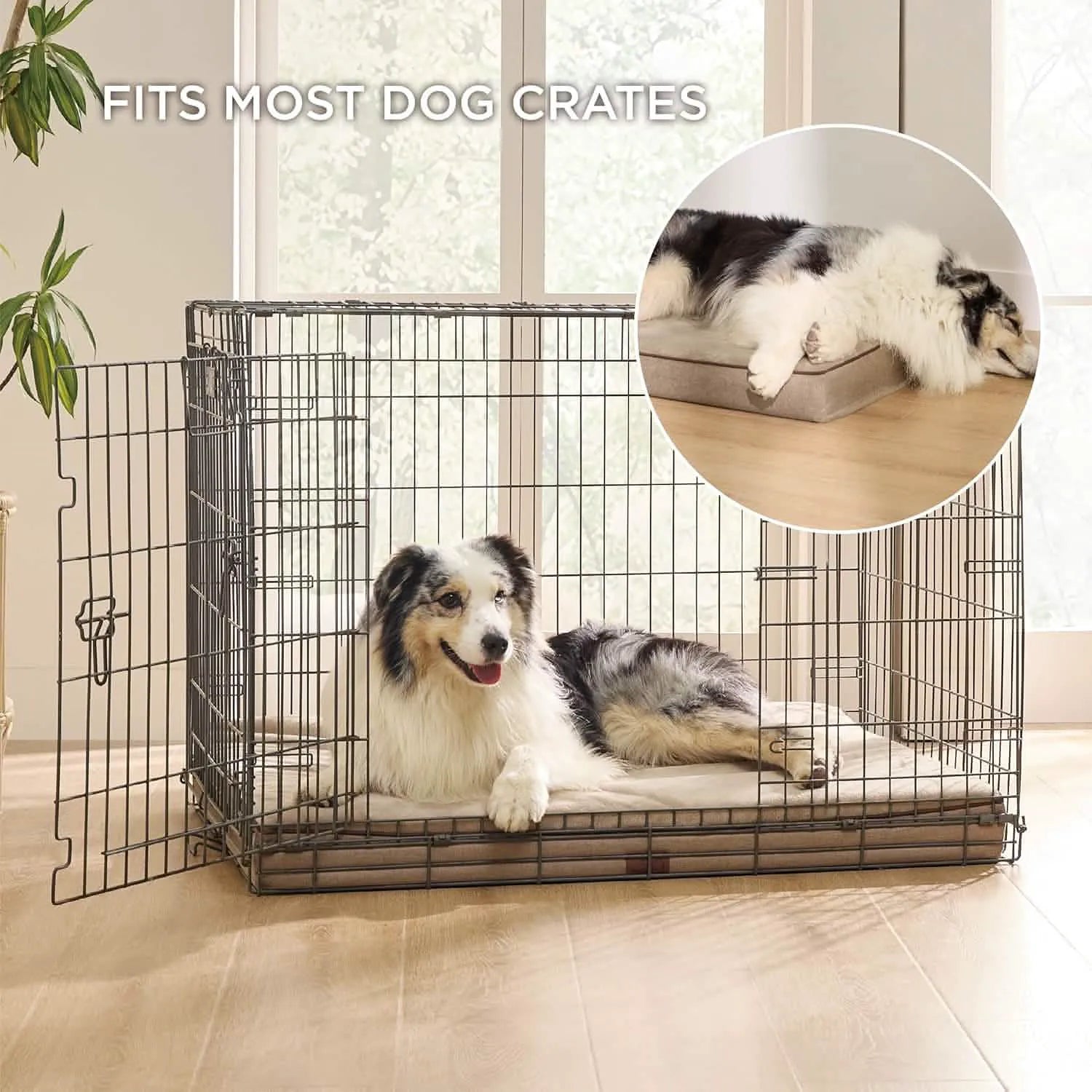 Orthopedic Memory Foam Dog Bed