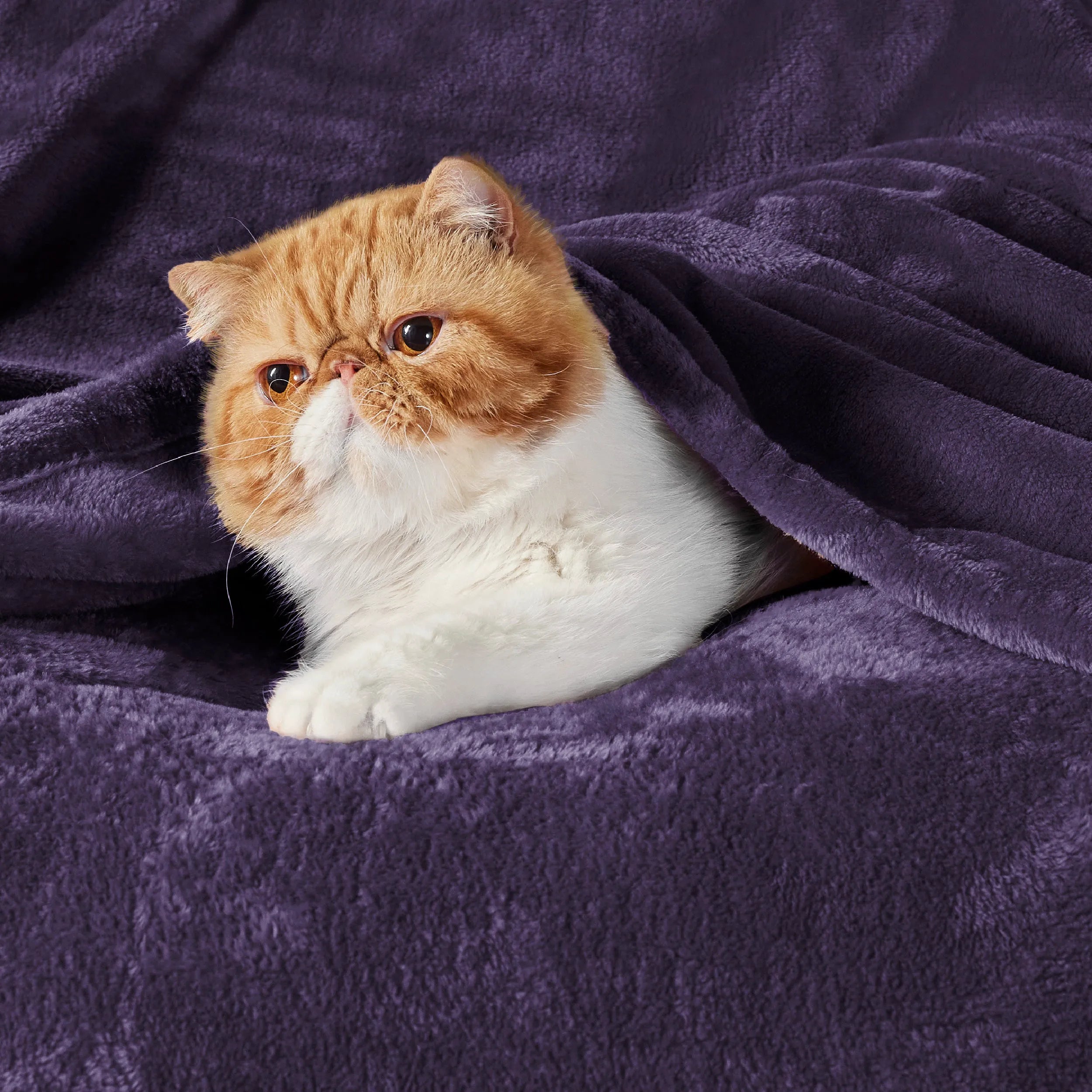 280gsm Flannel Fleece Blanket