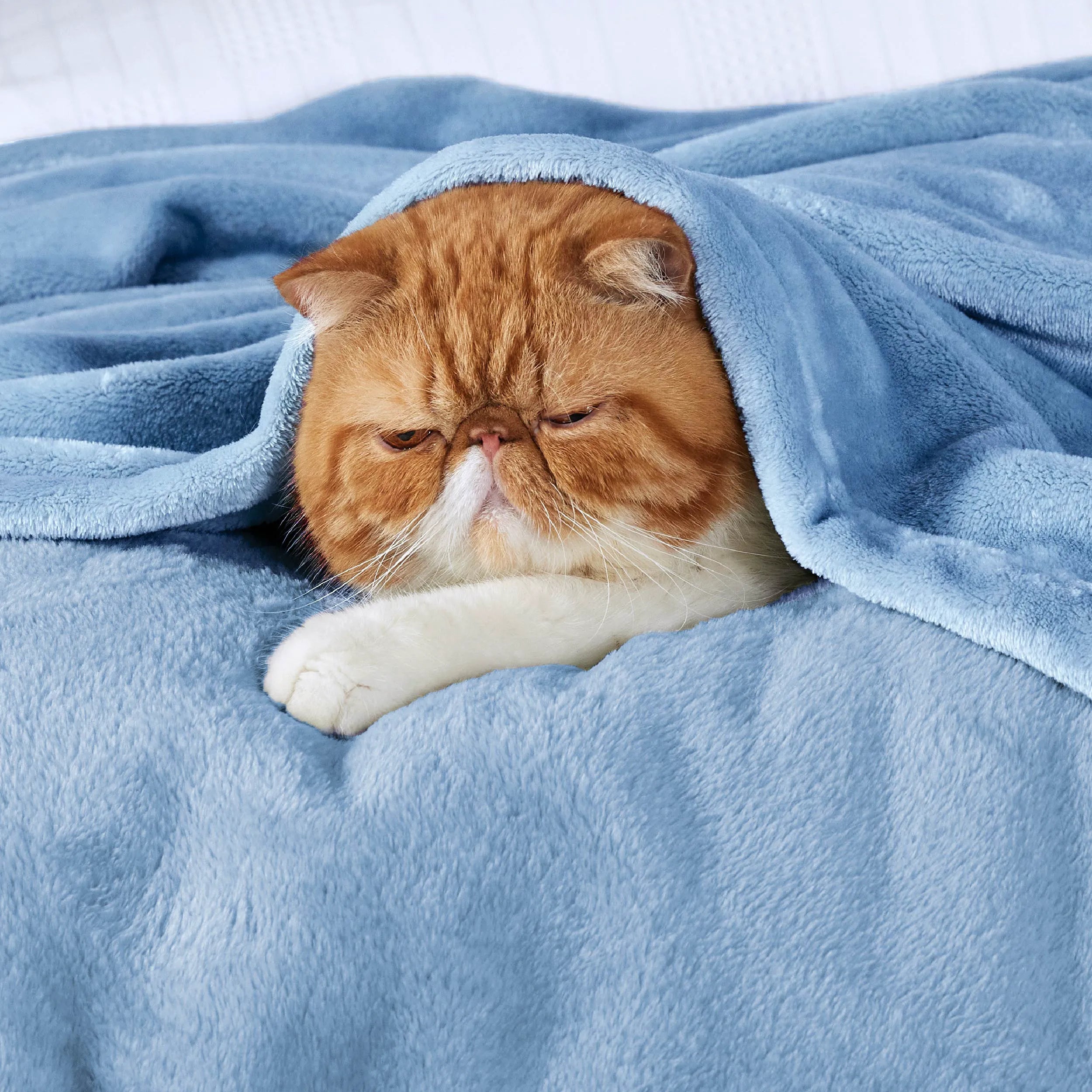 280gsm Flannel Fleece Blanket