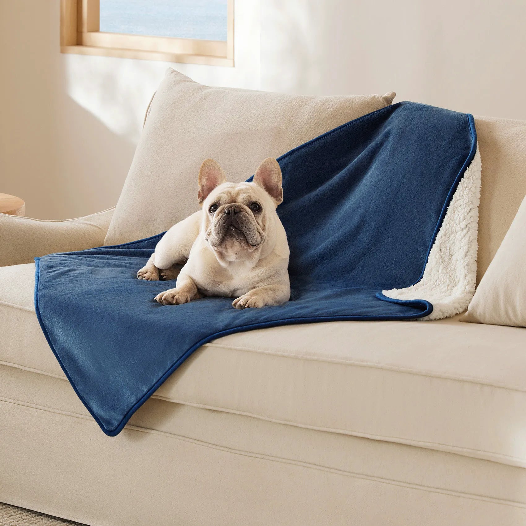 Reversible Sherpa & Microfiber Fleece Dog Blanket